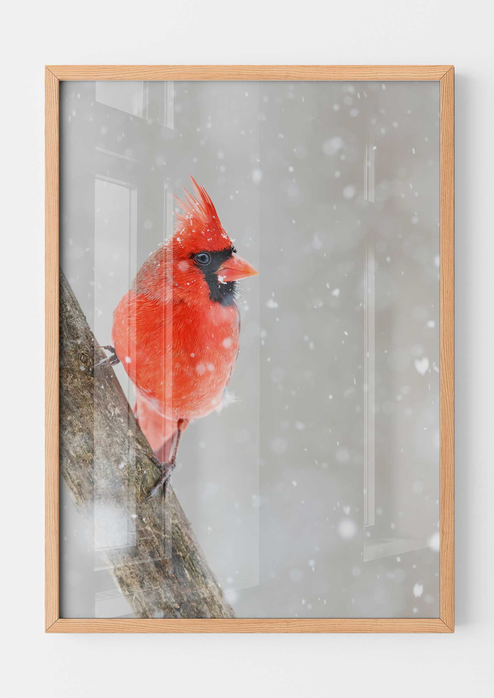 Cardinal in the Snow