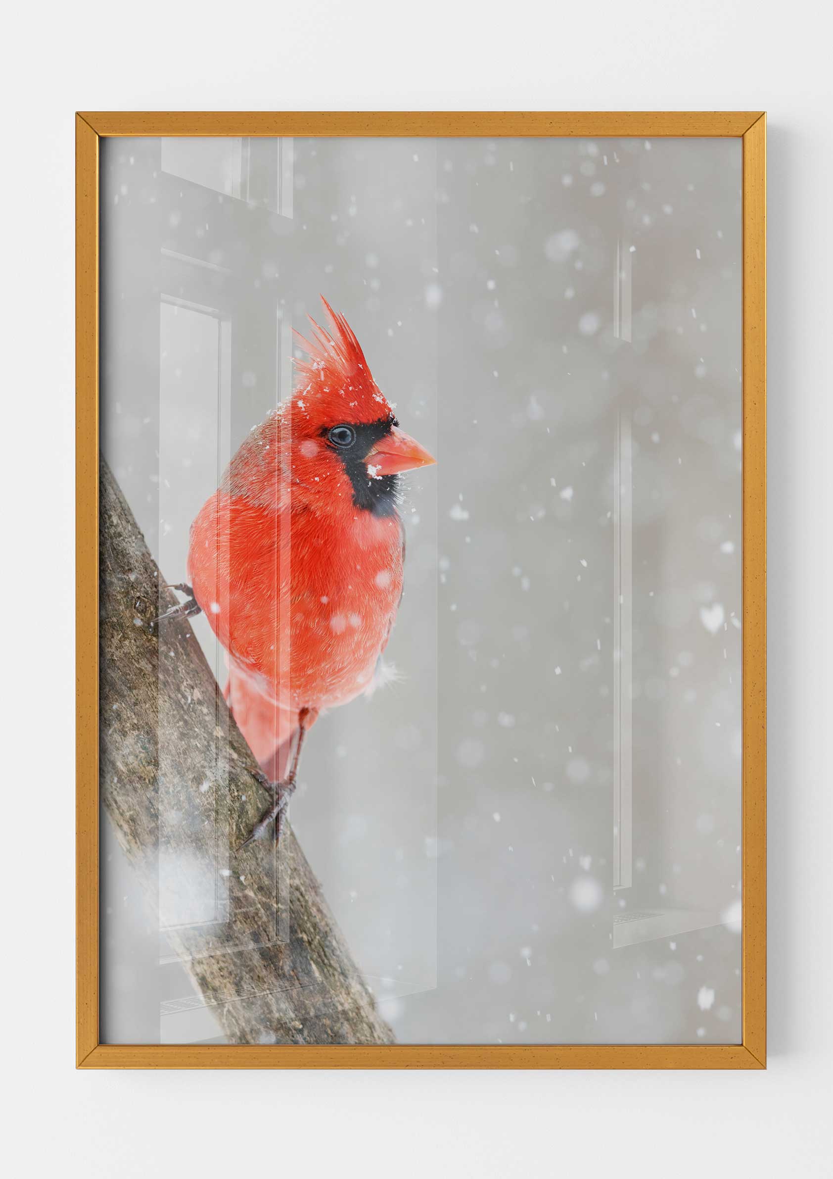 Cardinal in the Snow