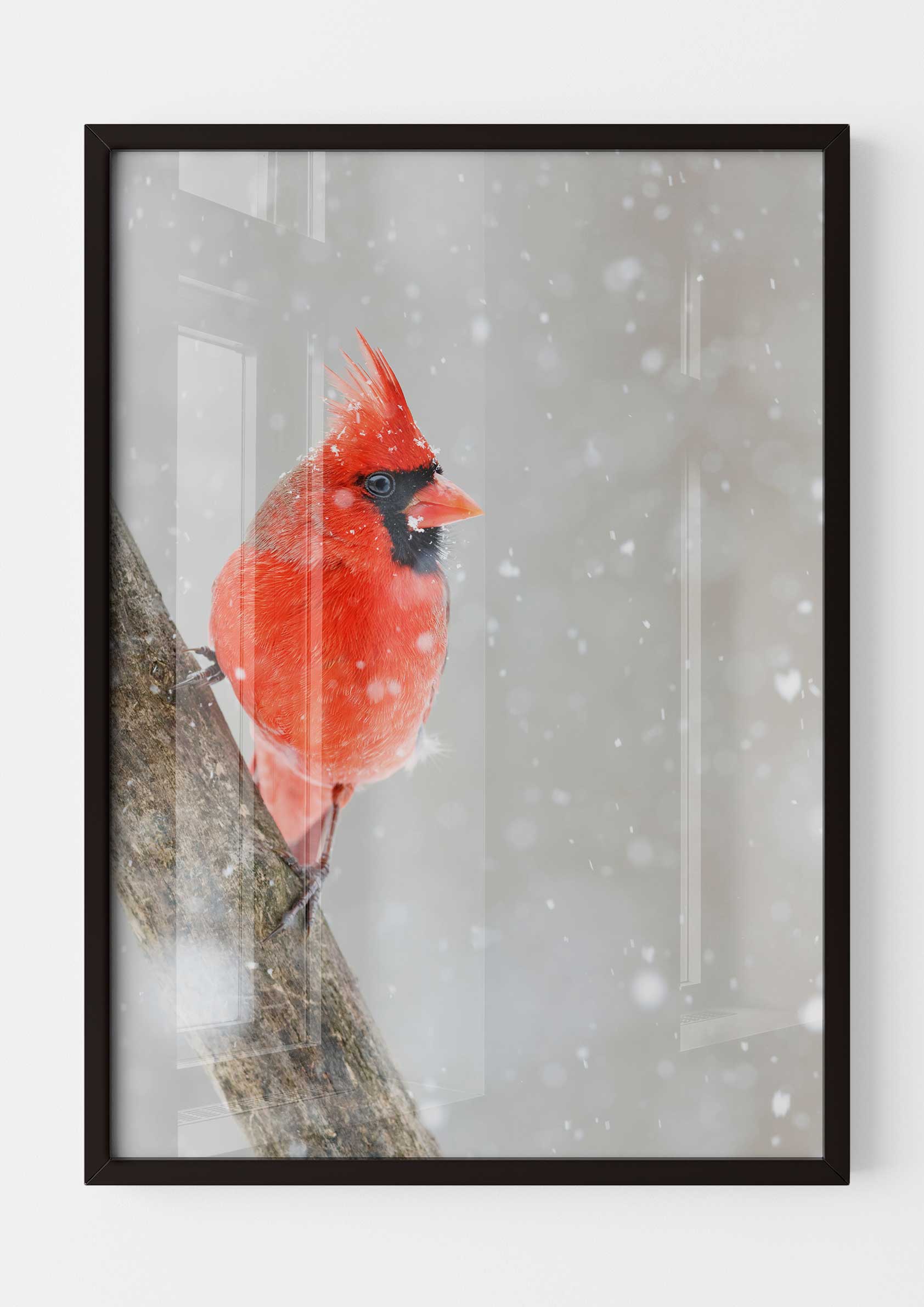 Cardinal in the Snow