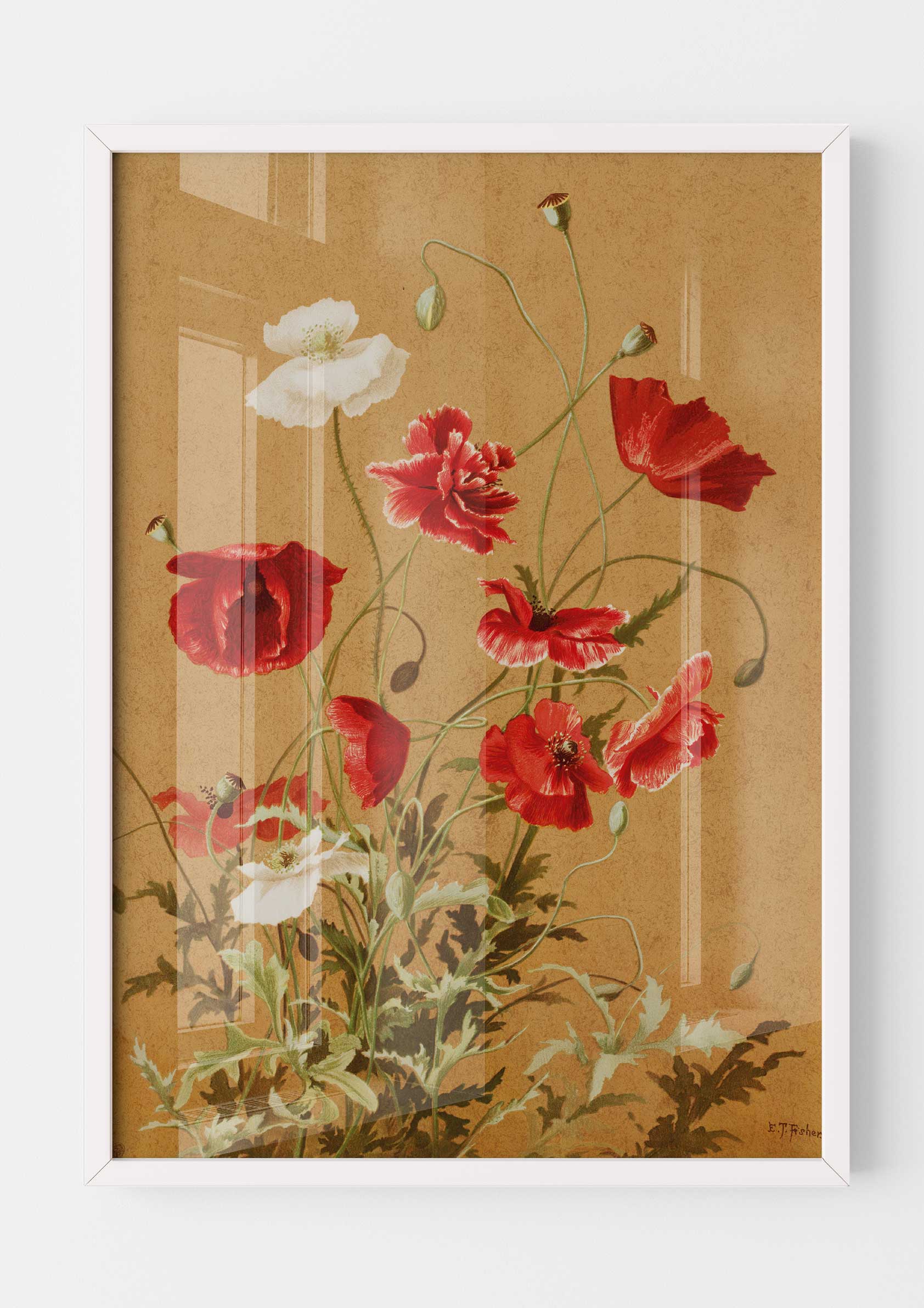 Ellen Thayer Fisher - Poppies no. 3