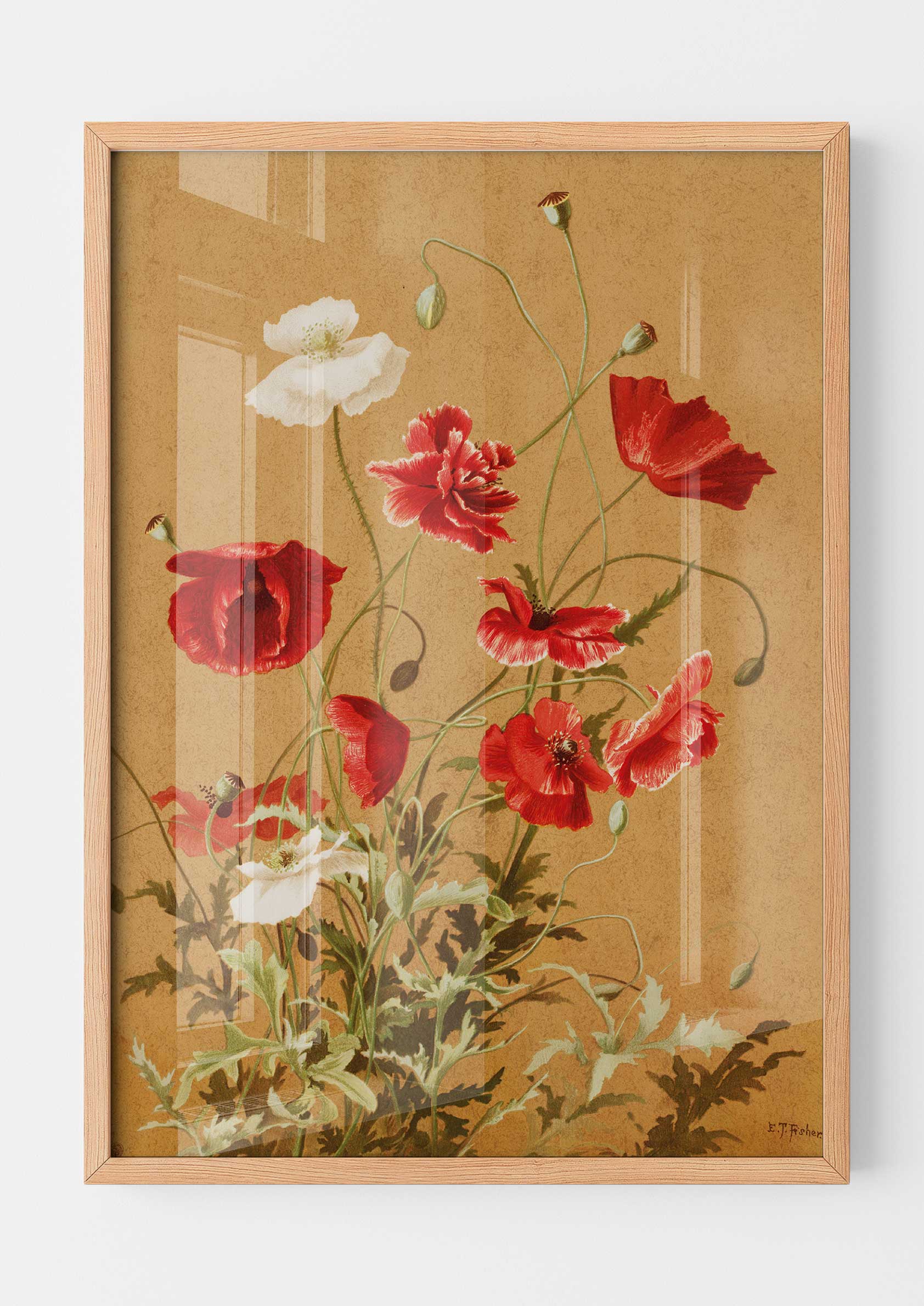 Ellen Thayer Fisher - Poppies no. 3