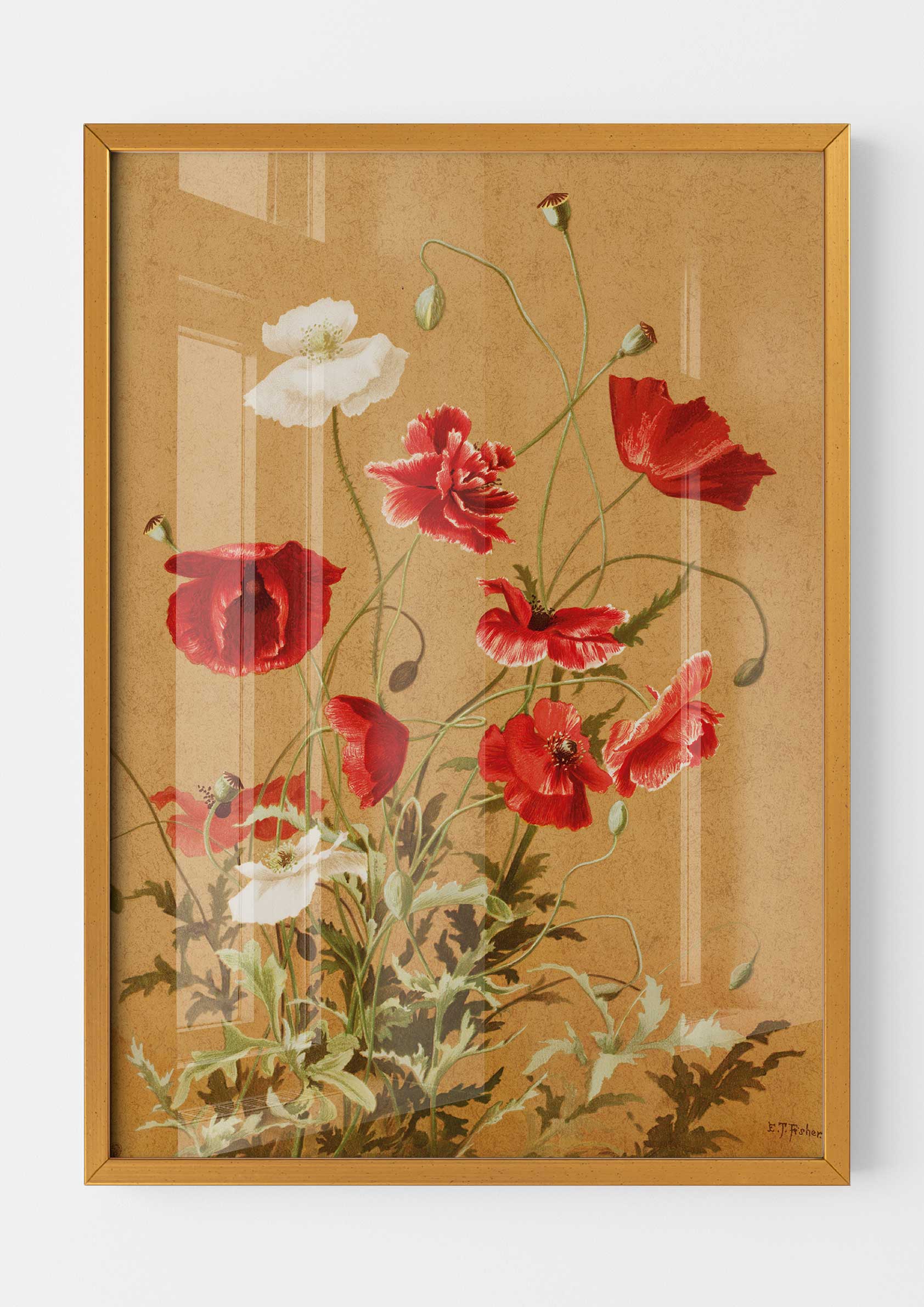 Ellen Thayer Fisher - Poppies no. 3