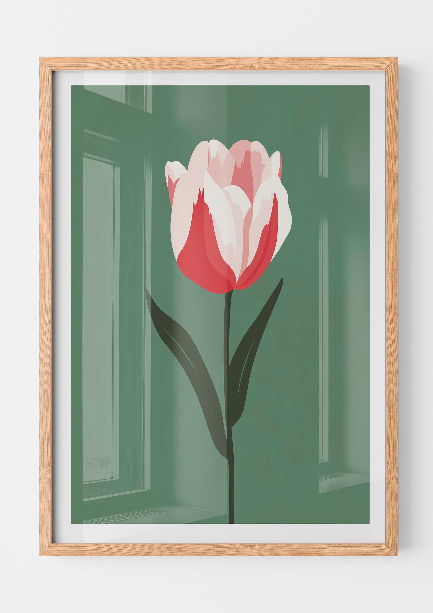 Tulipan