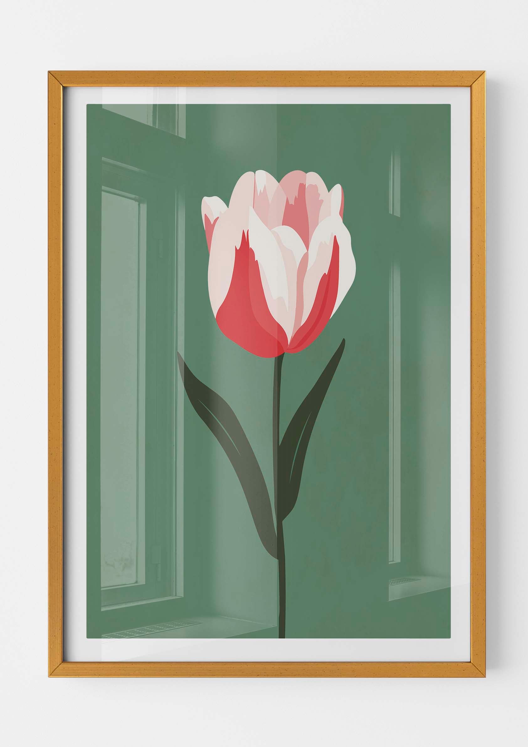 Tulipan