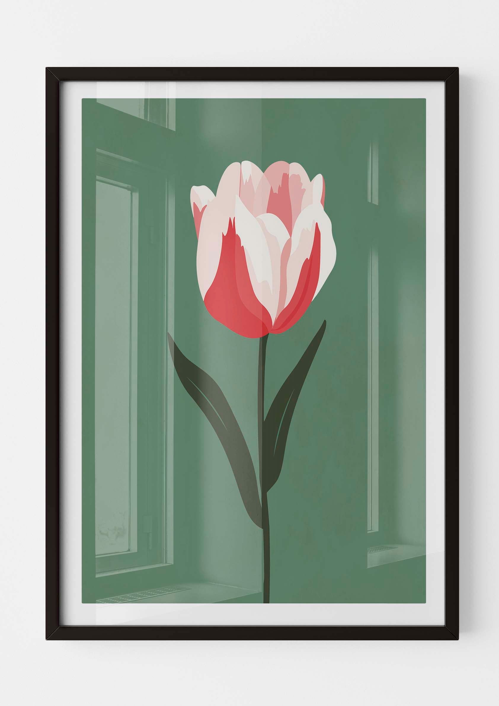 Tulipan