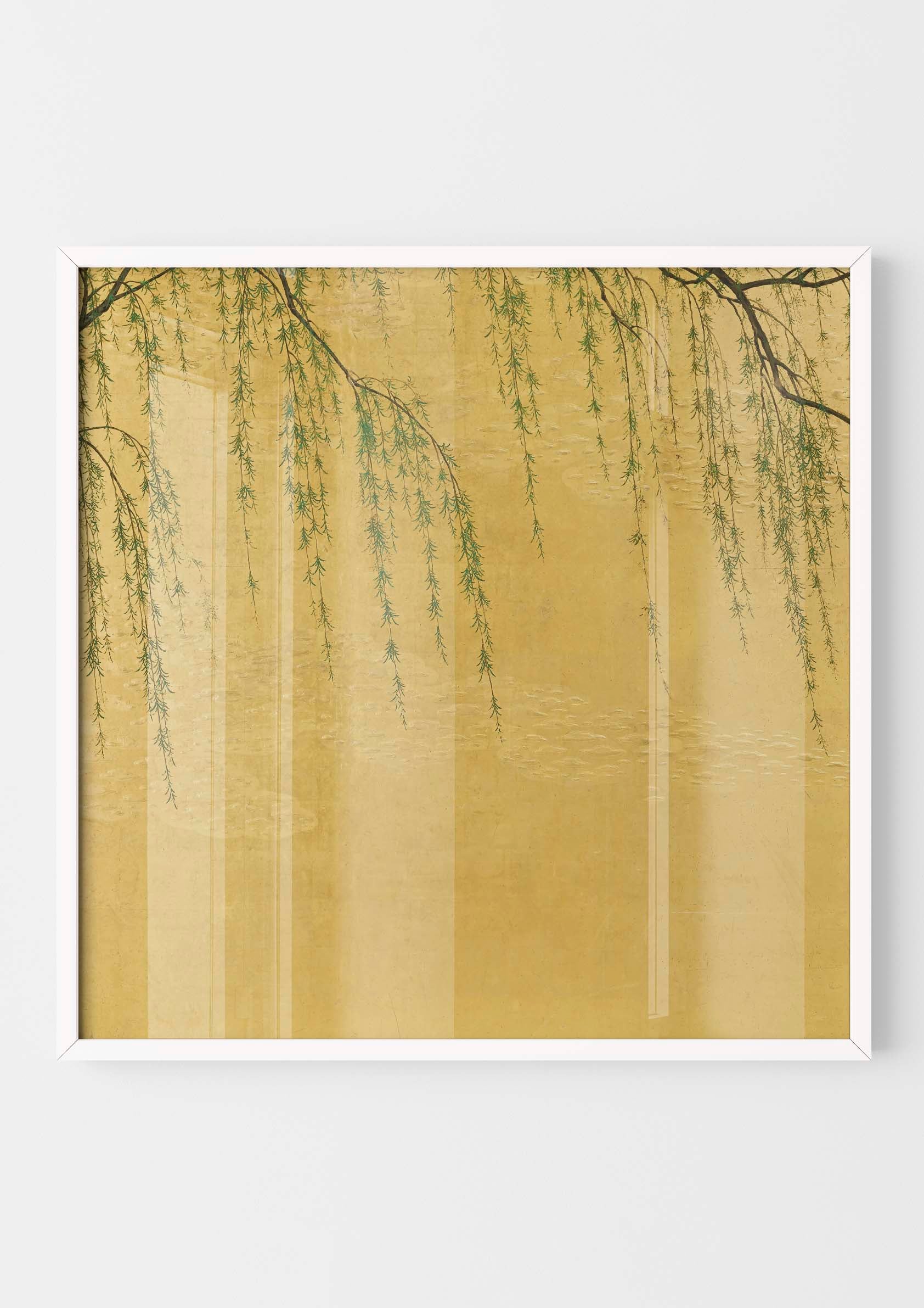 Japanese Willow