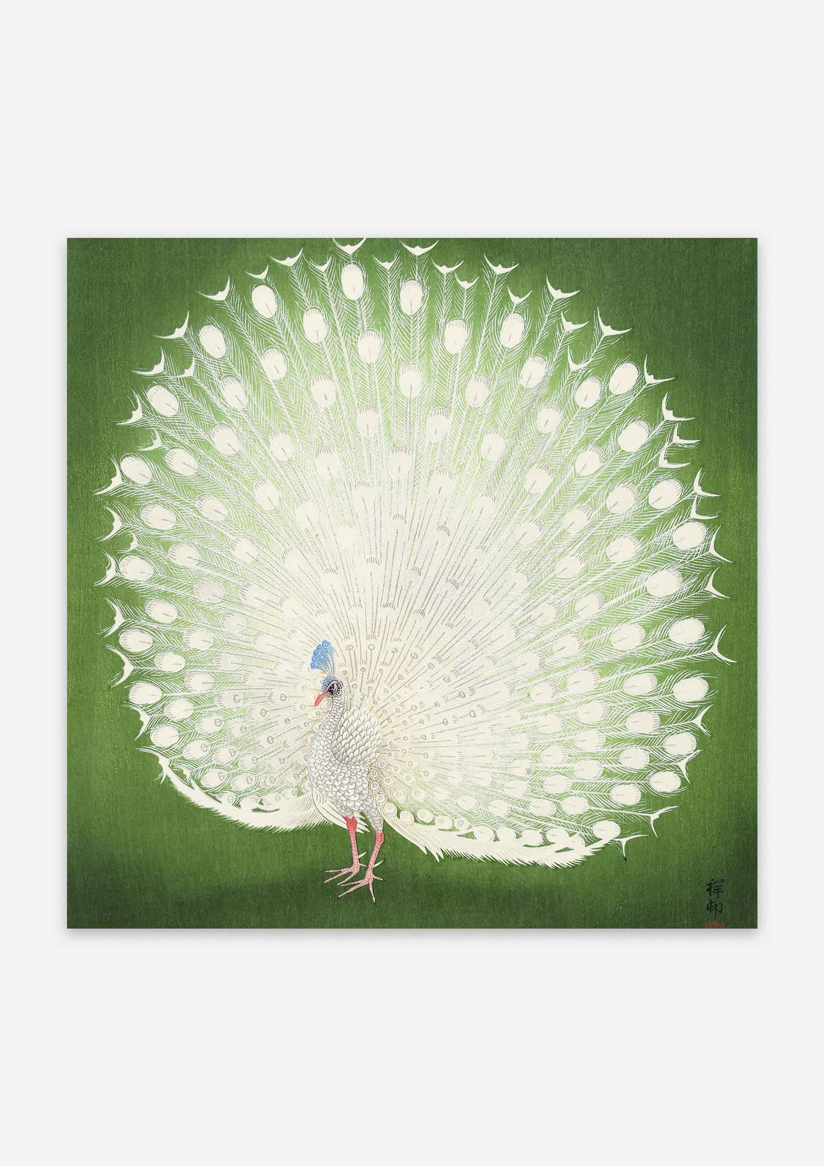 Ogata Korin - Peacock