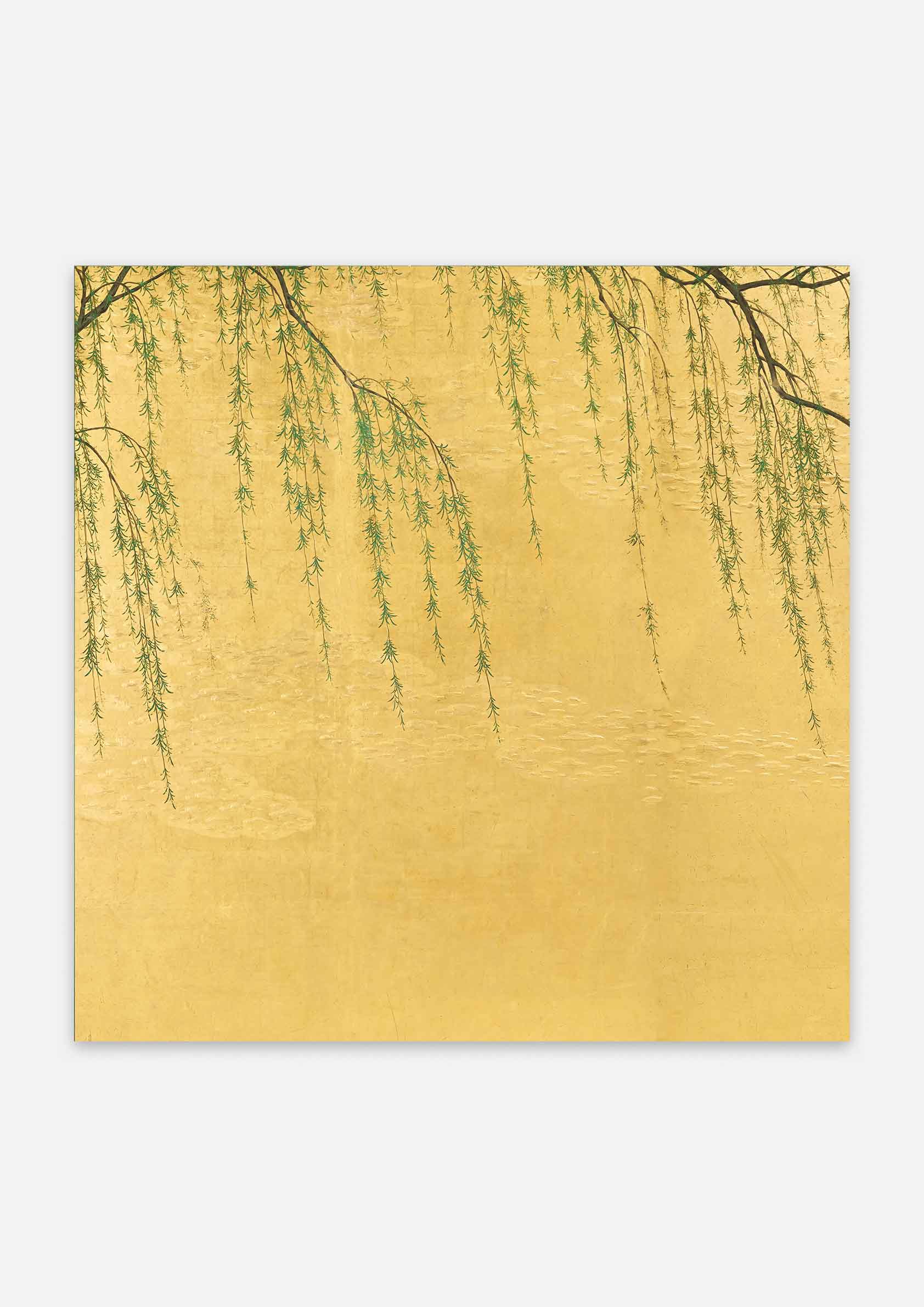 Japanese Willow