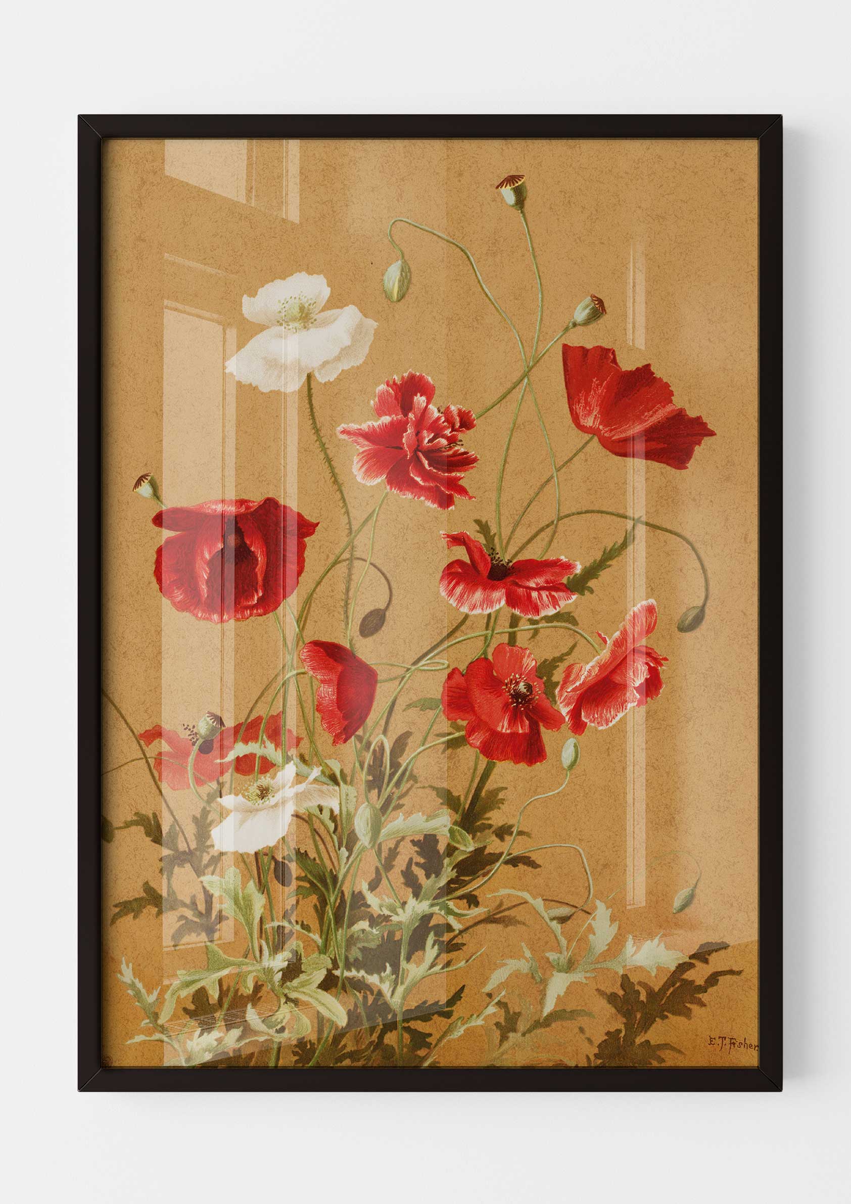 Ellen Thayer Fisher - Poppies no. 3