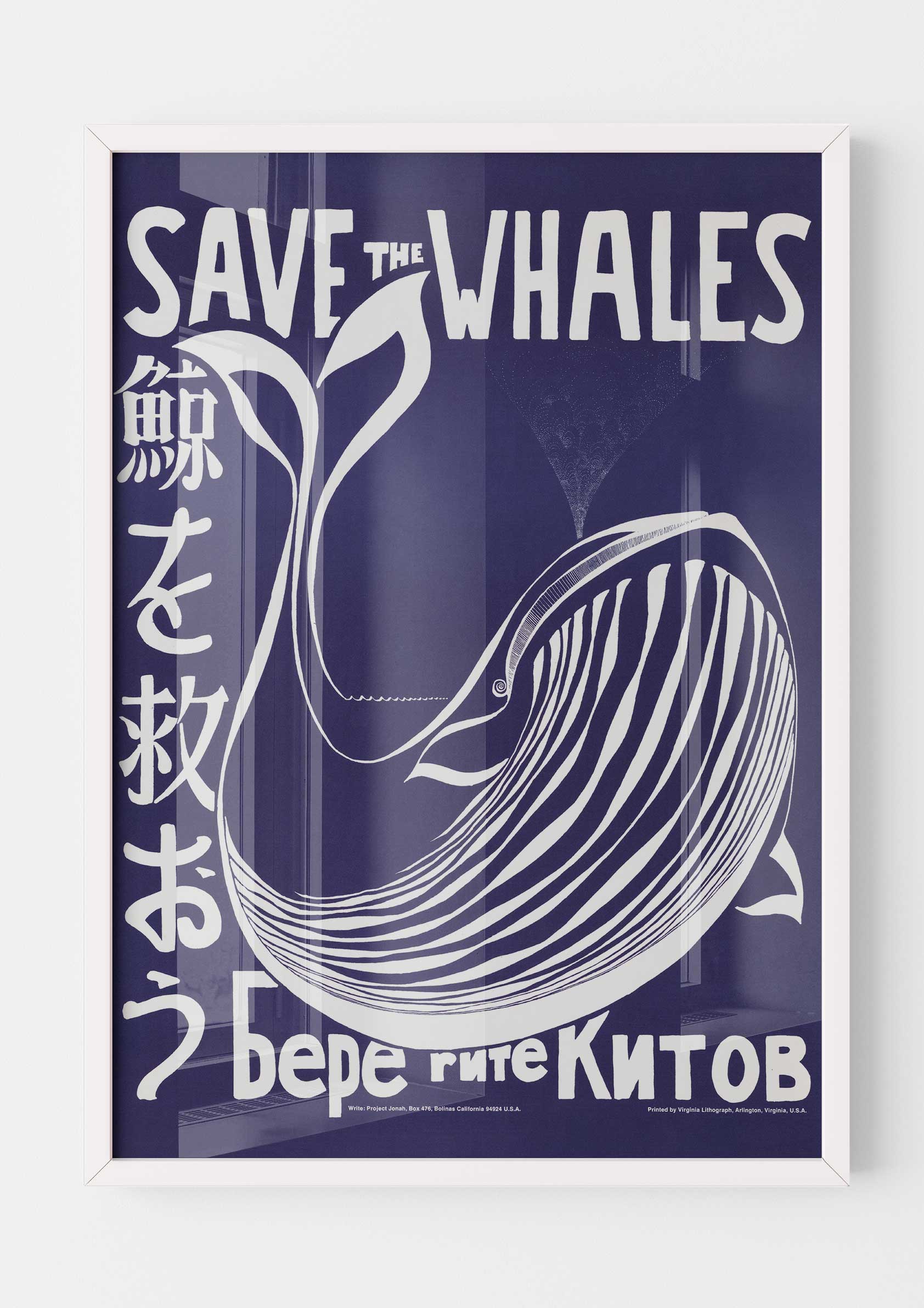 Save the Whales
