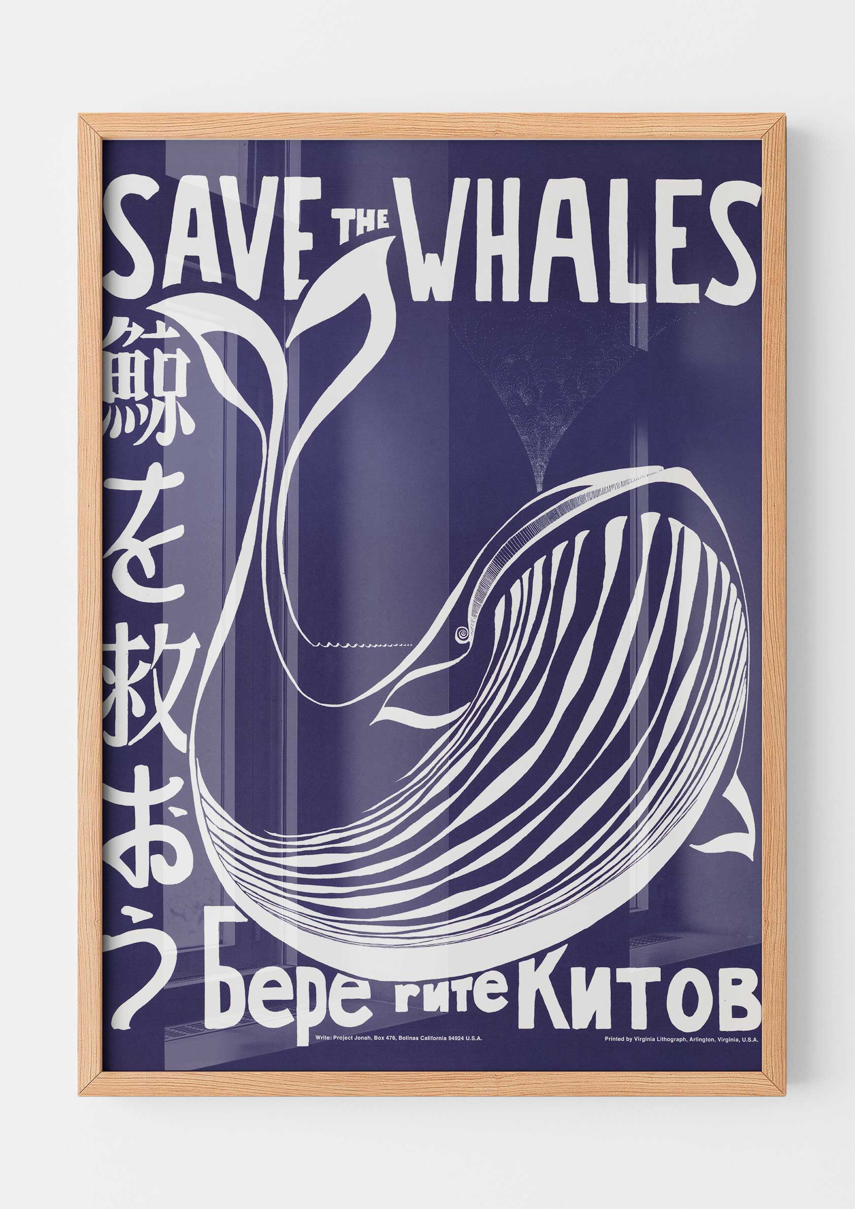 Save the Whales