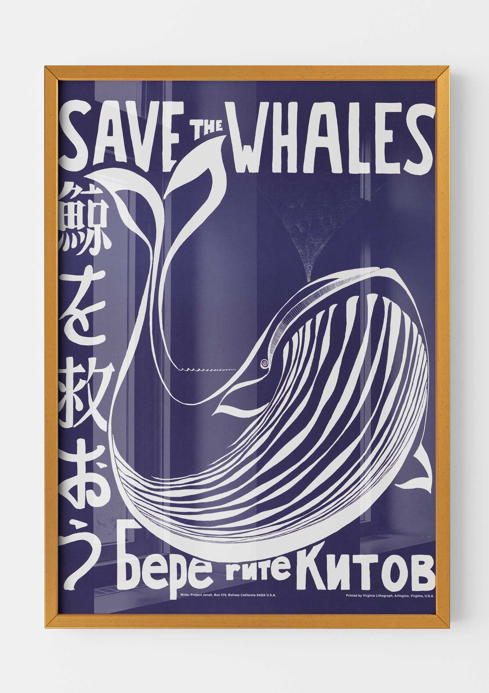 Save the Whales
