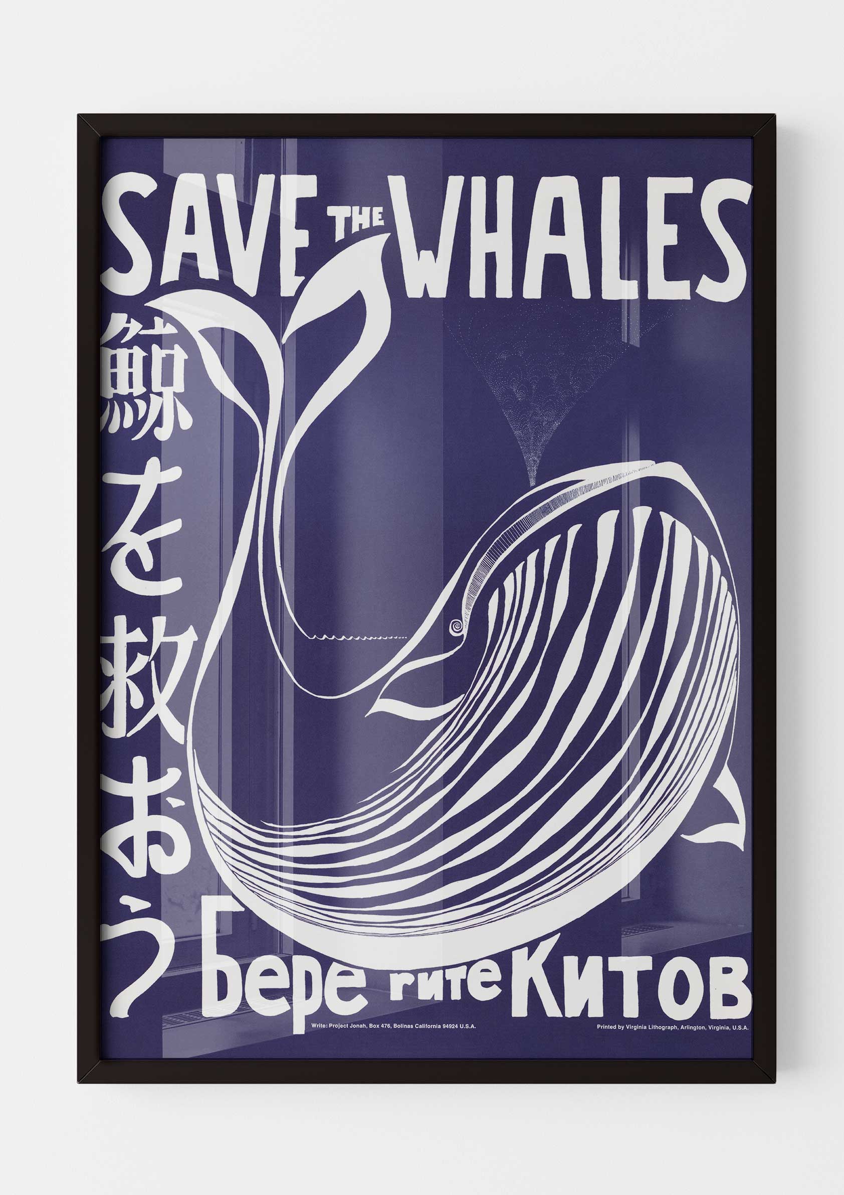 Save the Whales