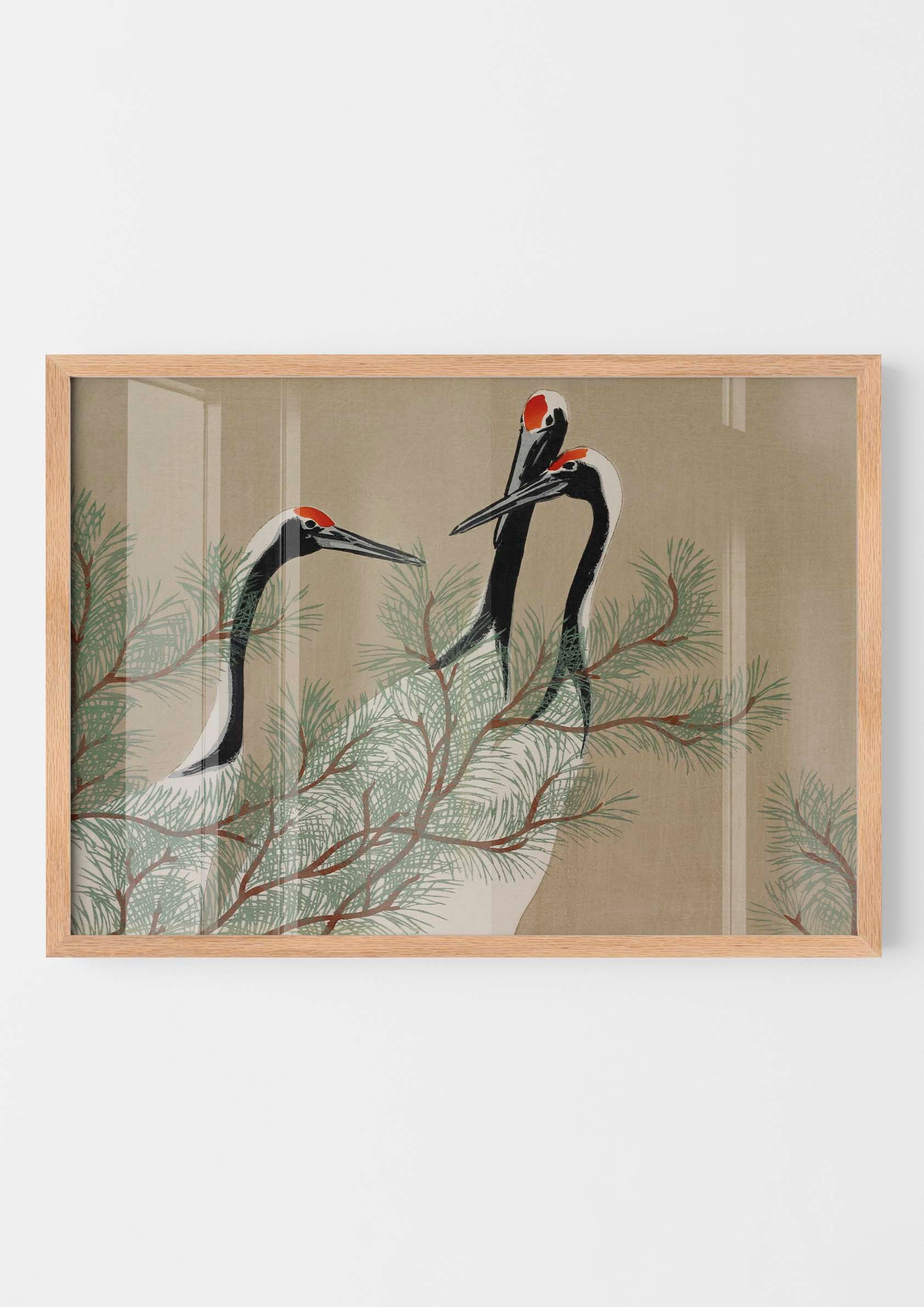Kamisaka Sekka - Cranes from Momoyogusa