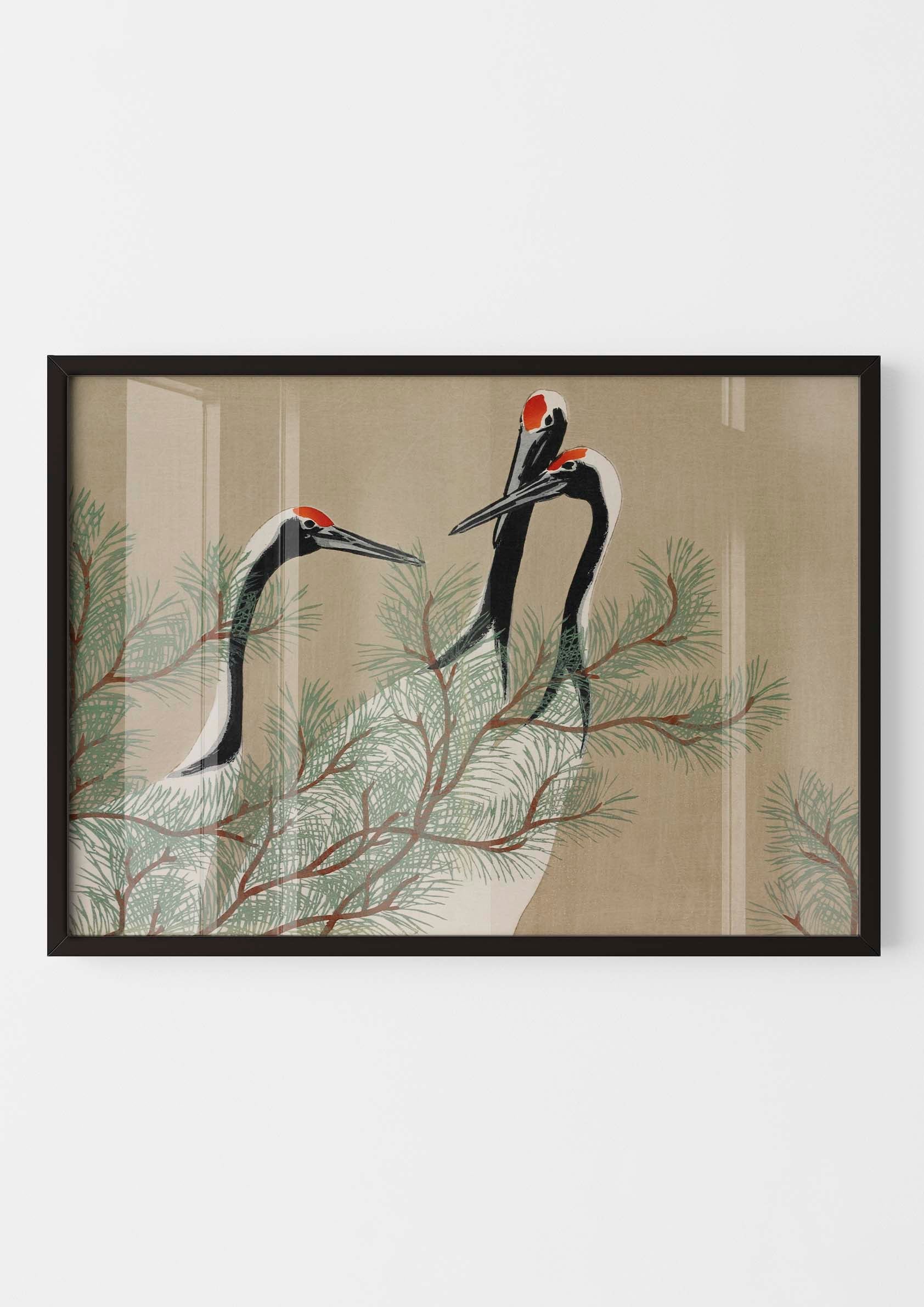 Kamisaka Sekka - Cranes from Momoyogusa