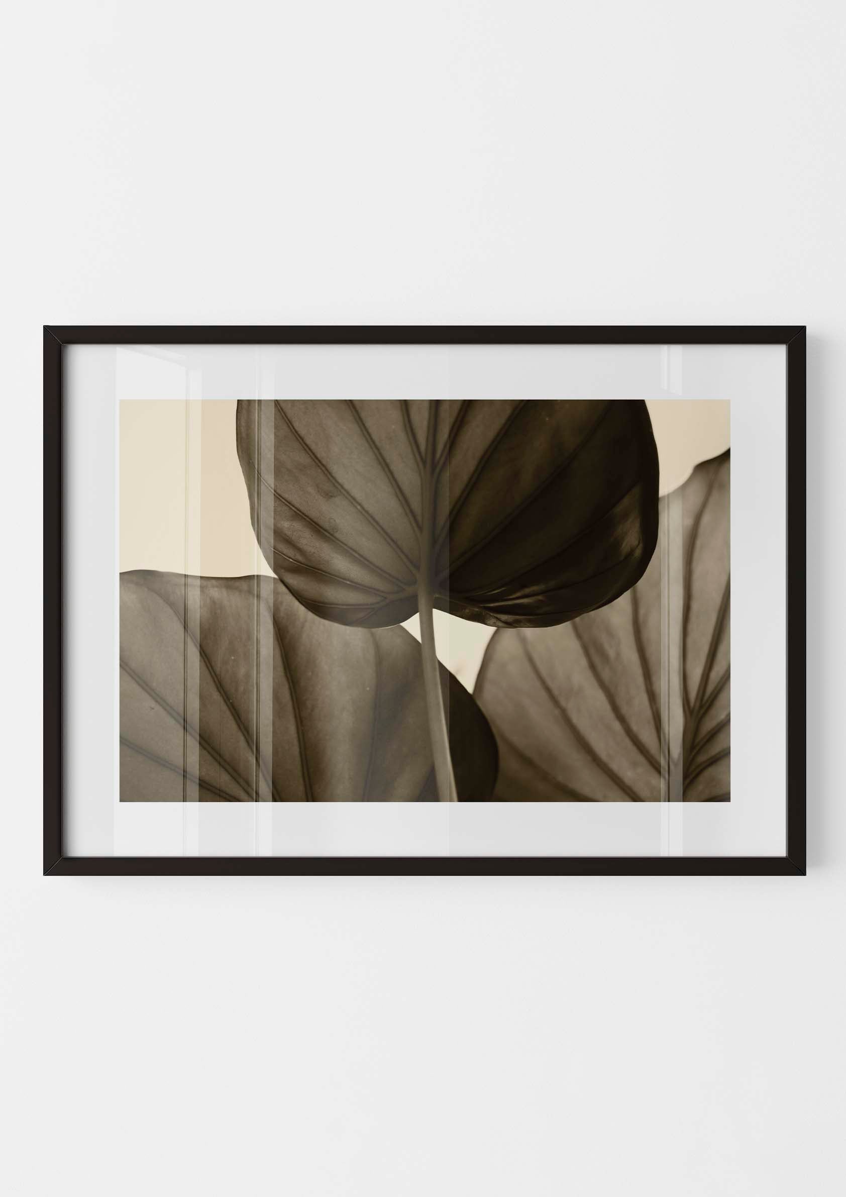 Japandi Leaf