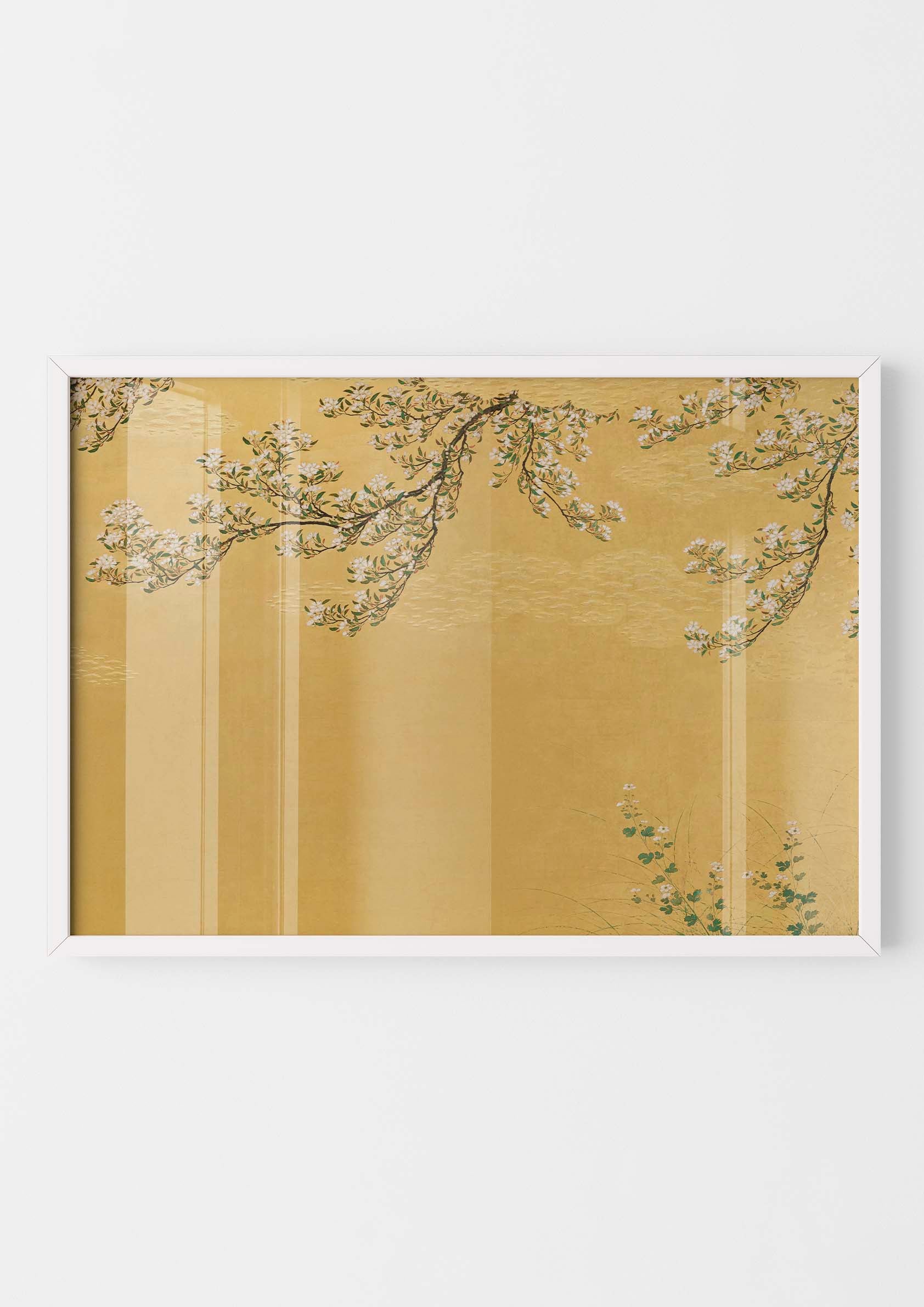 Japanese Cherry Blossom