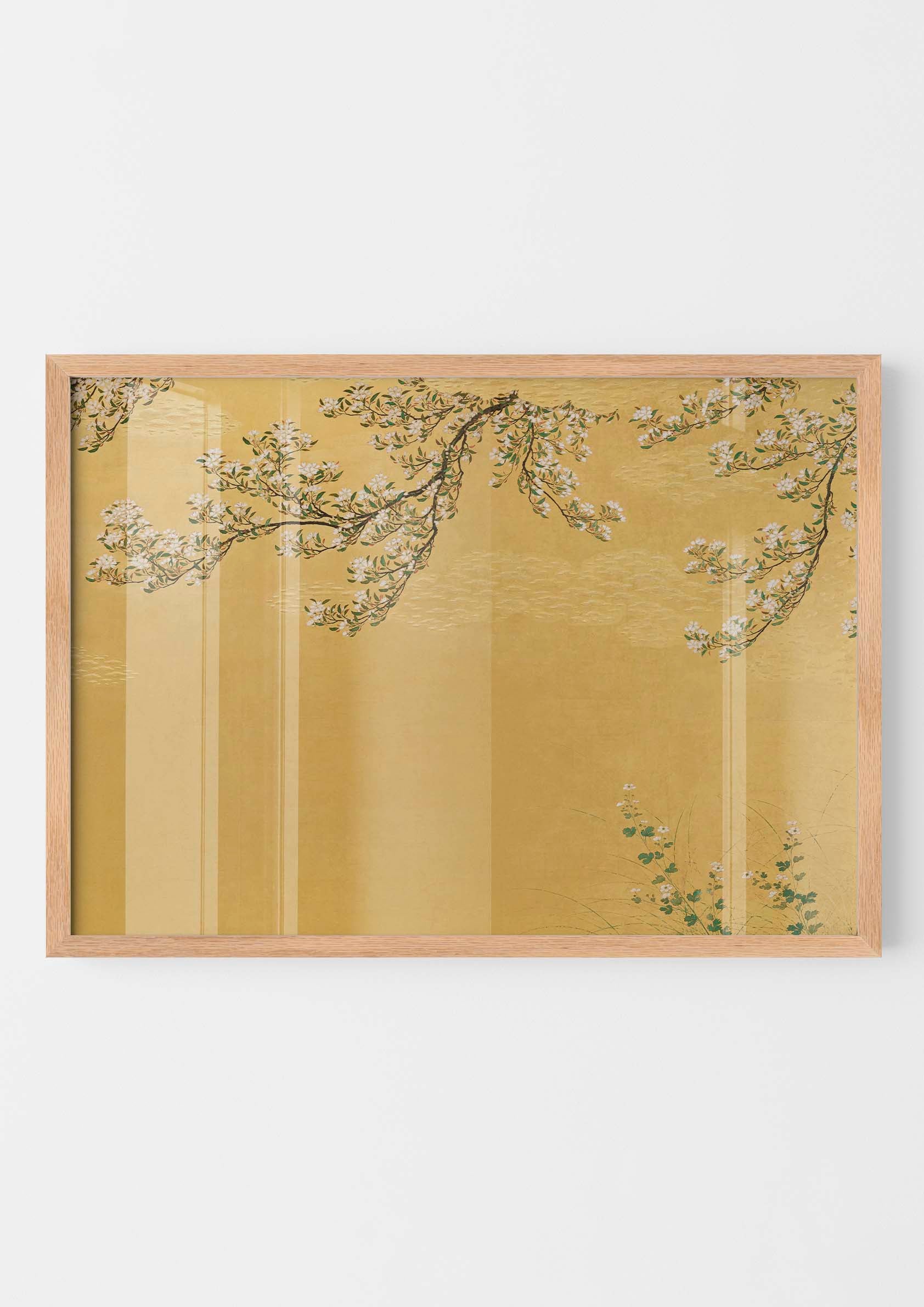 Japanese Cherry Blossom