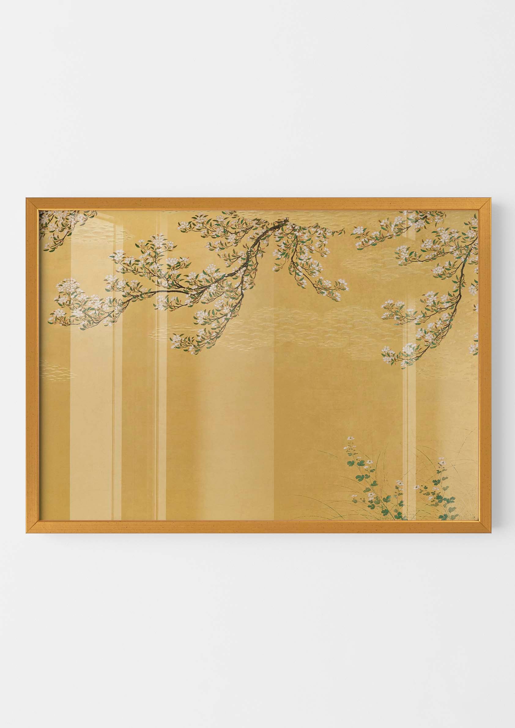 Japanese Cherry Blossom