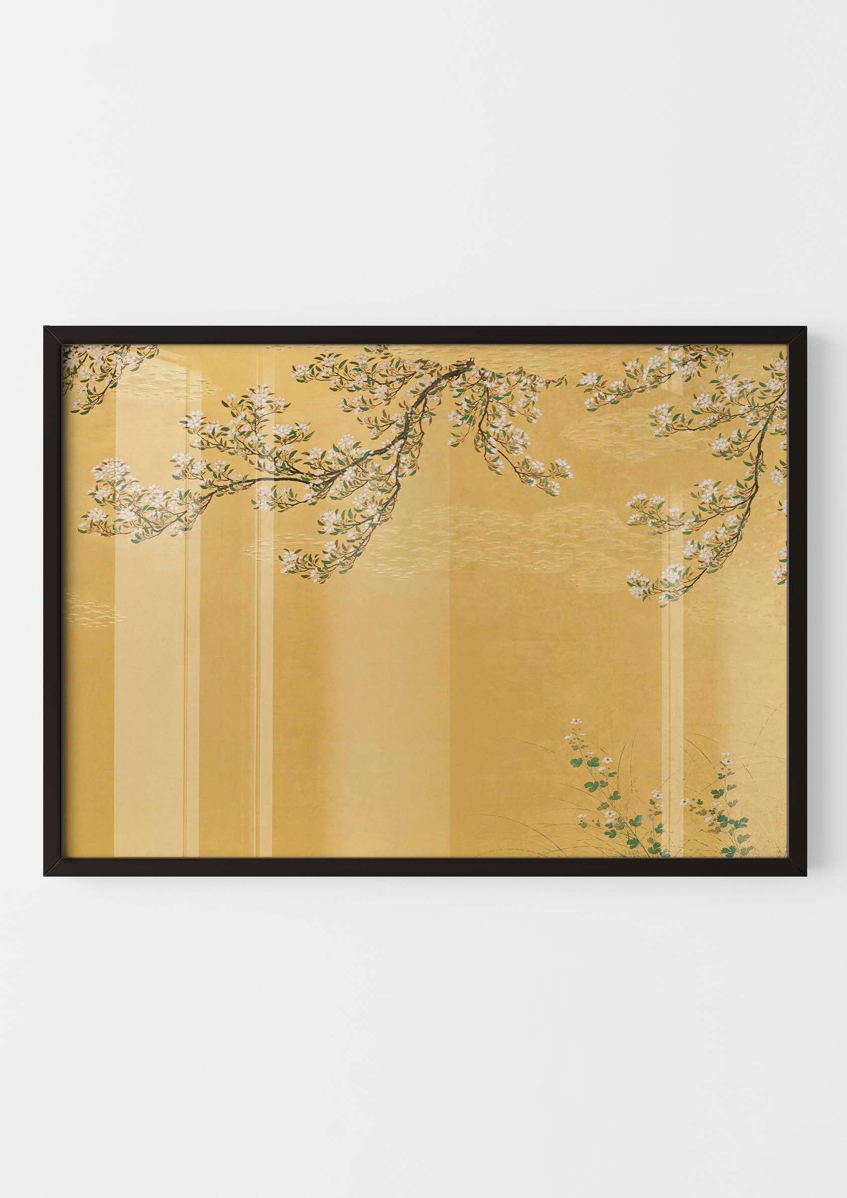 Japanese Cherry Blossom