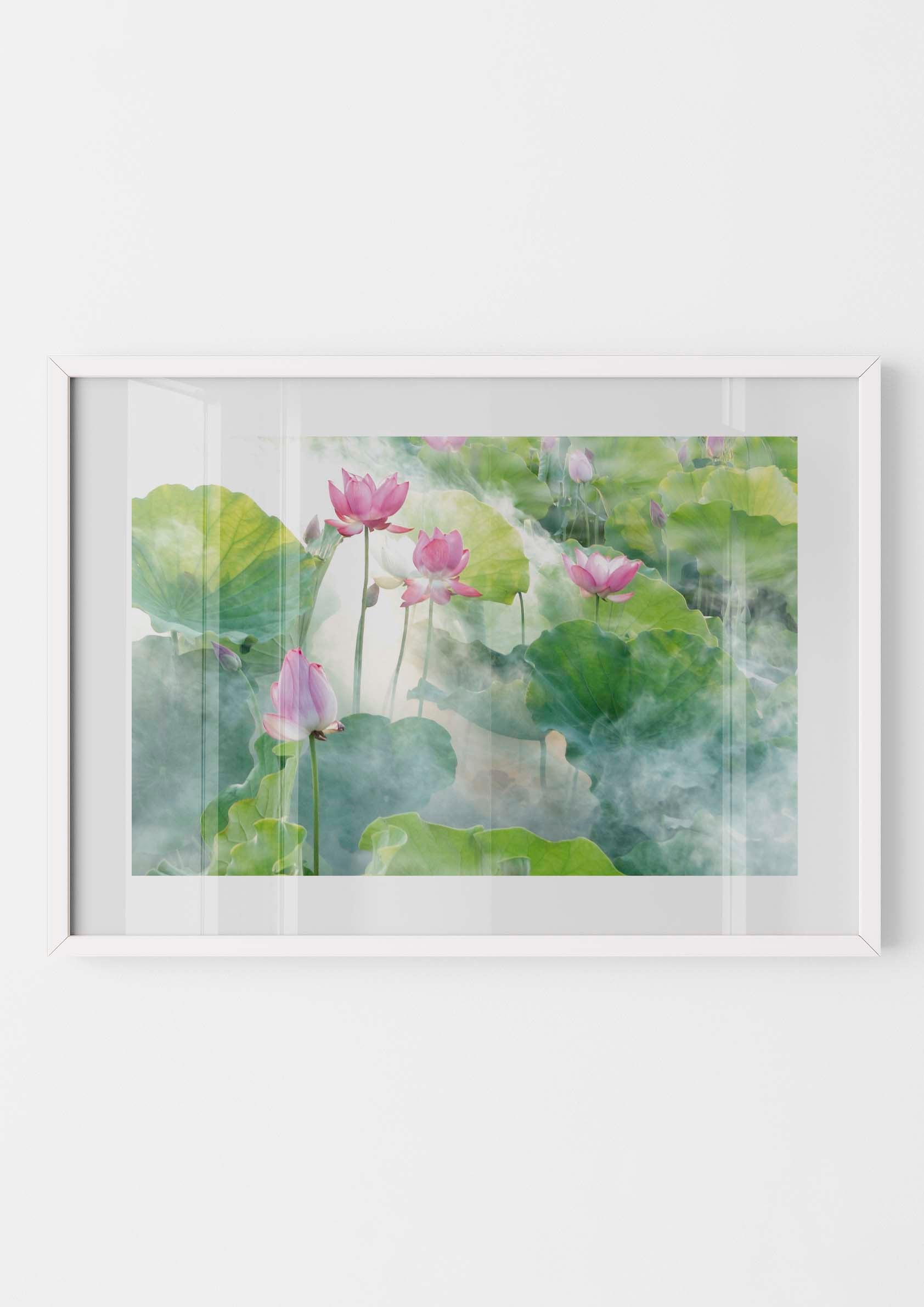 Lotus Summer