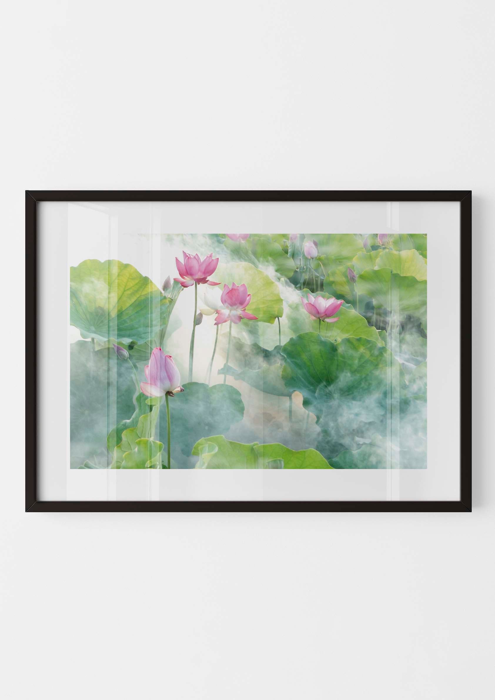 Lotus Summer