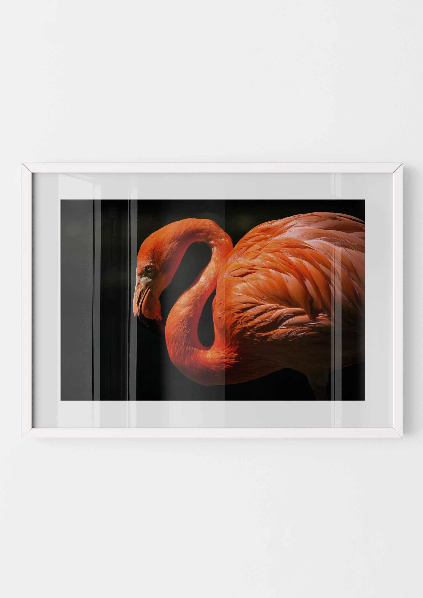 Pink Flamingo