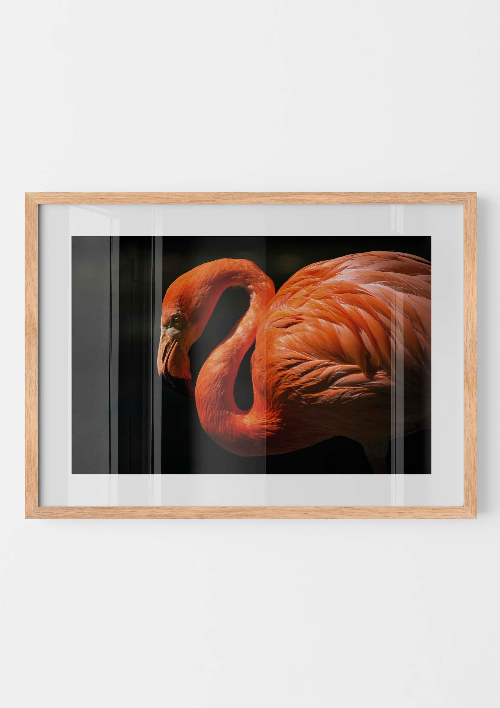 Pink Flamingo