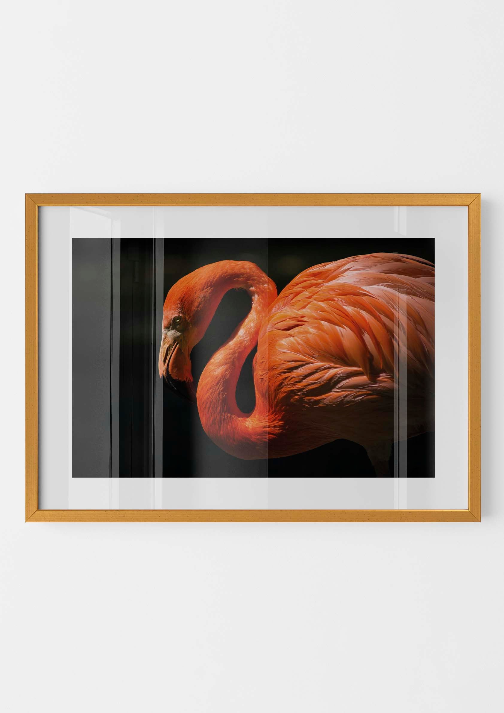 Pink Flamingo