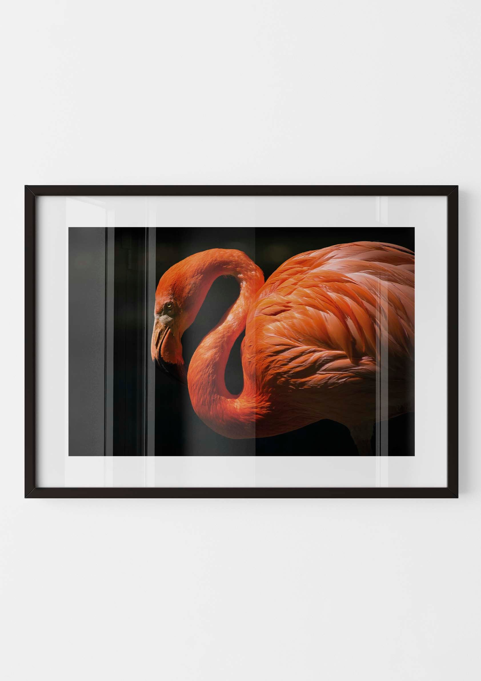 Pink Flamingo
