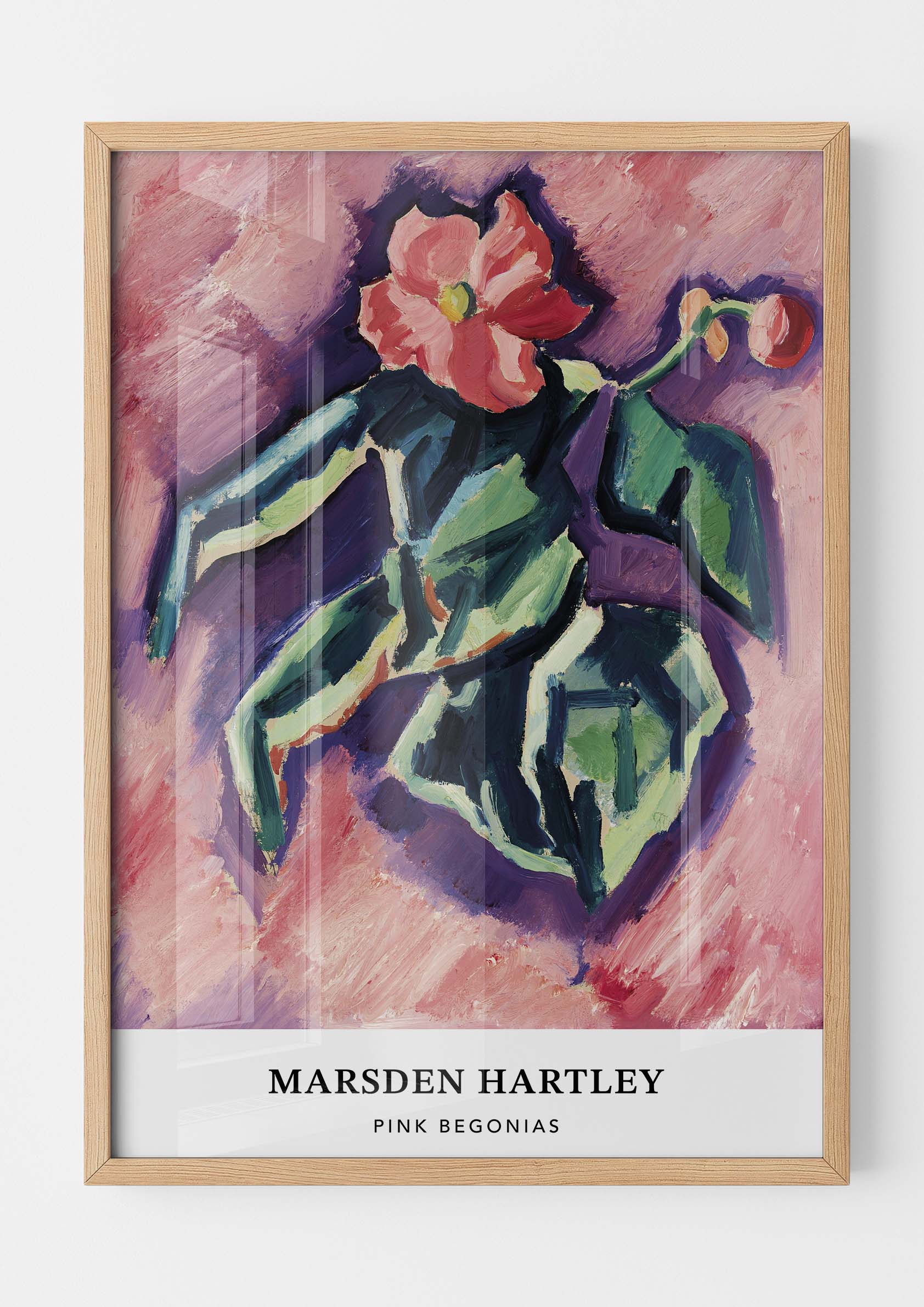 Marsden Hartley - Pink Begonias