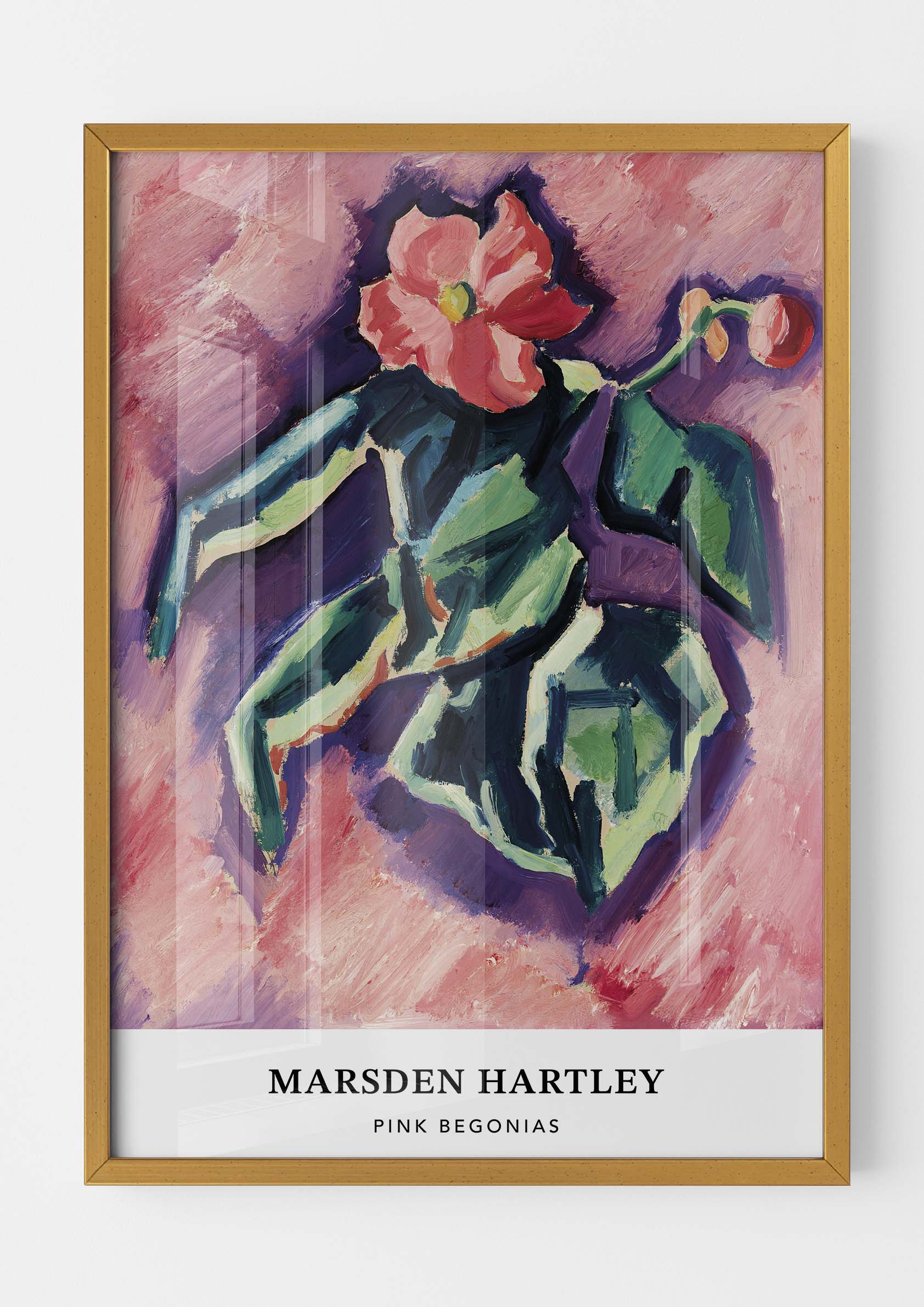 Marsden Hartley - Pink Begonias