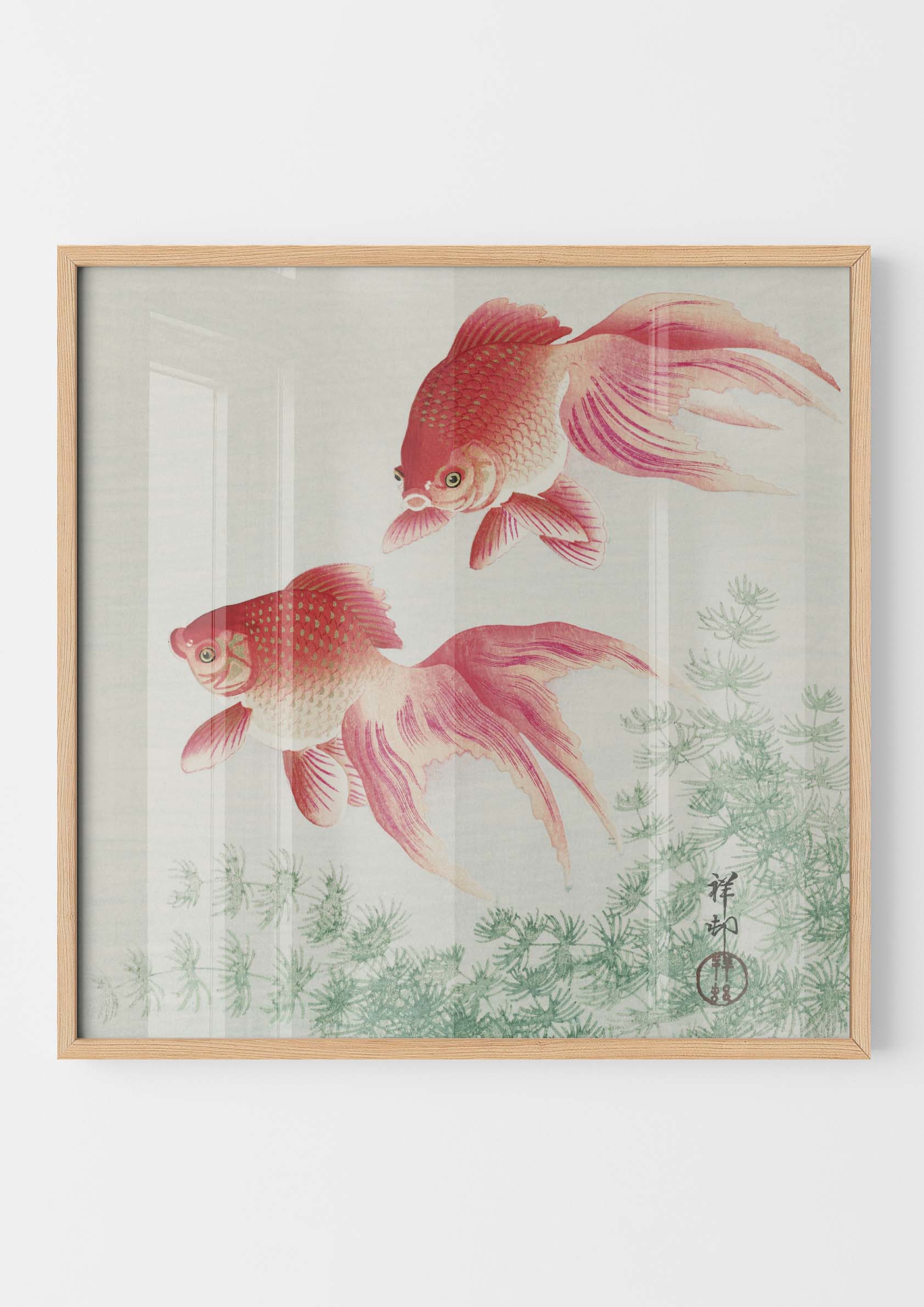Ohara Koson - Two Veil Goldfish