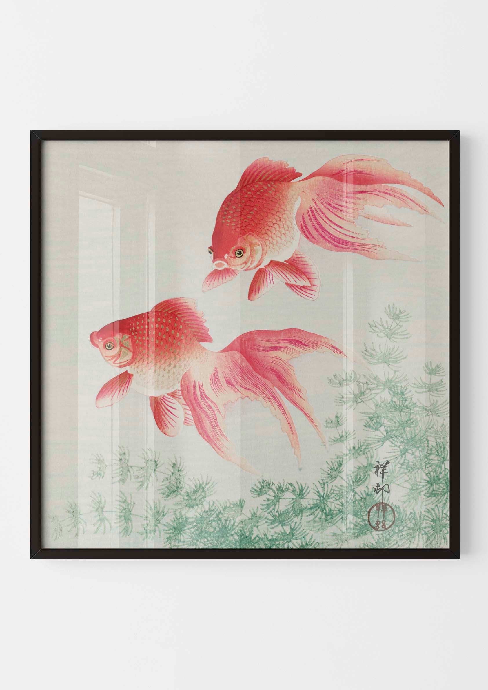 Ohara Koson - Two Veil Goldfish