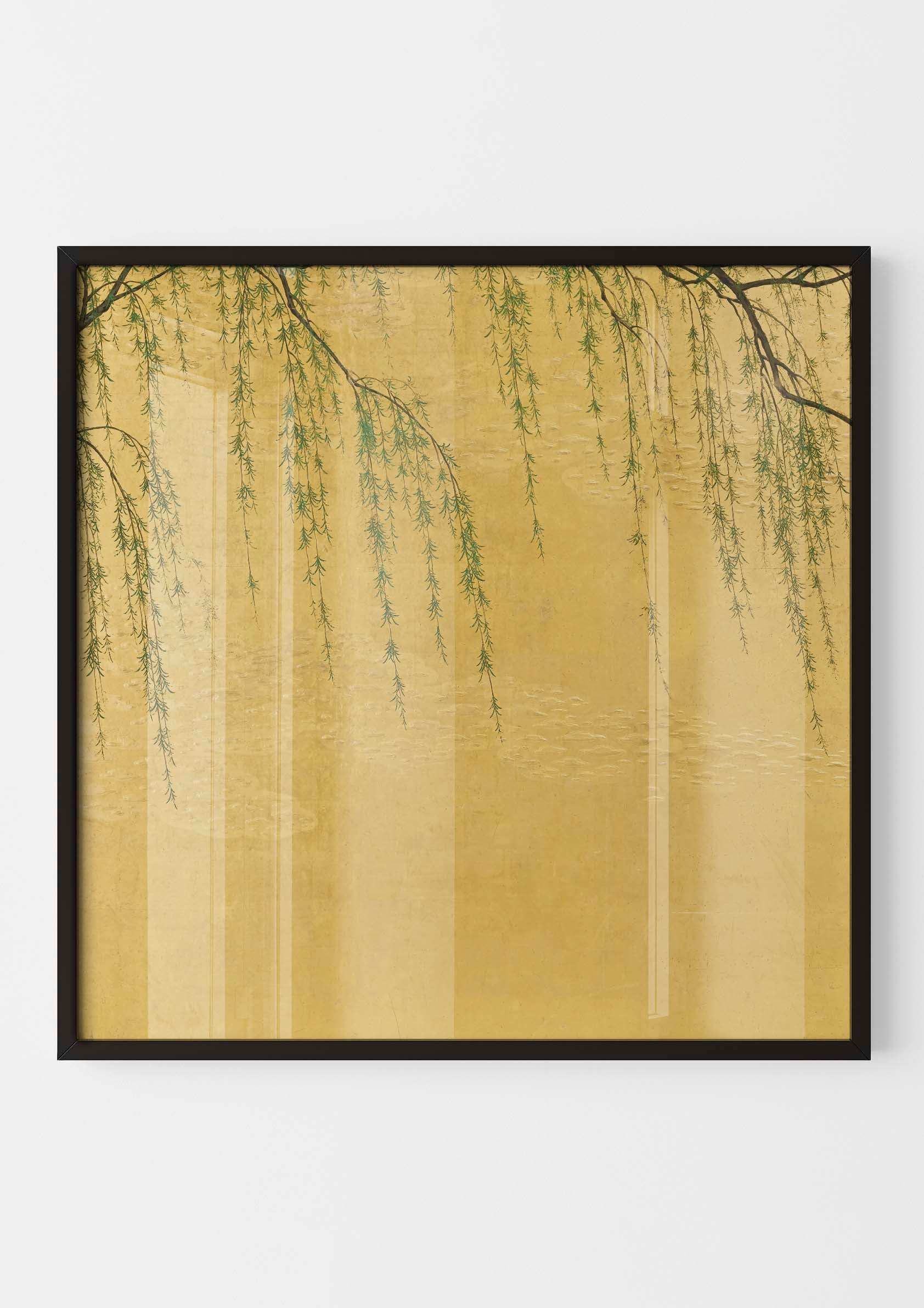 Japanese Willow