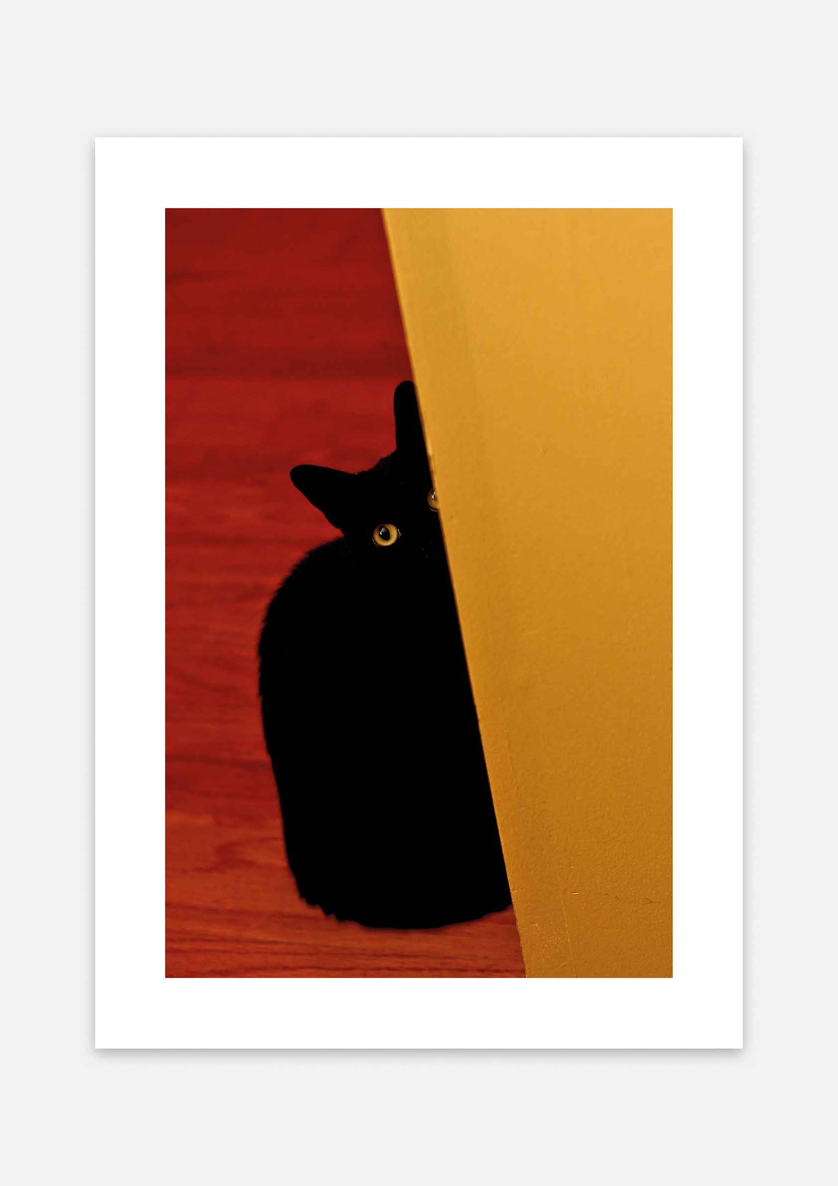 You Can't See Me