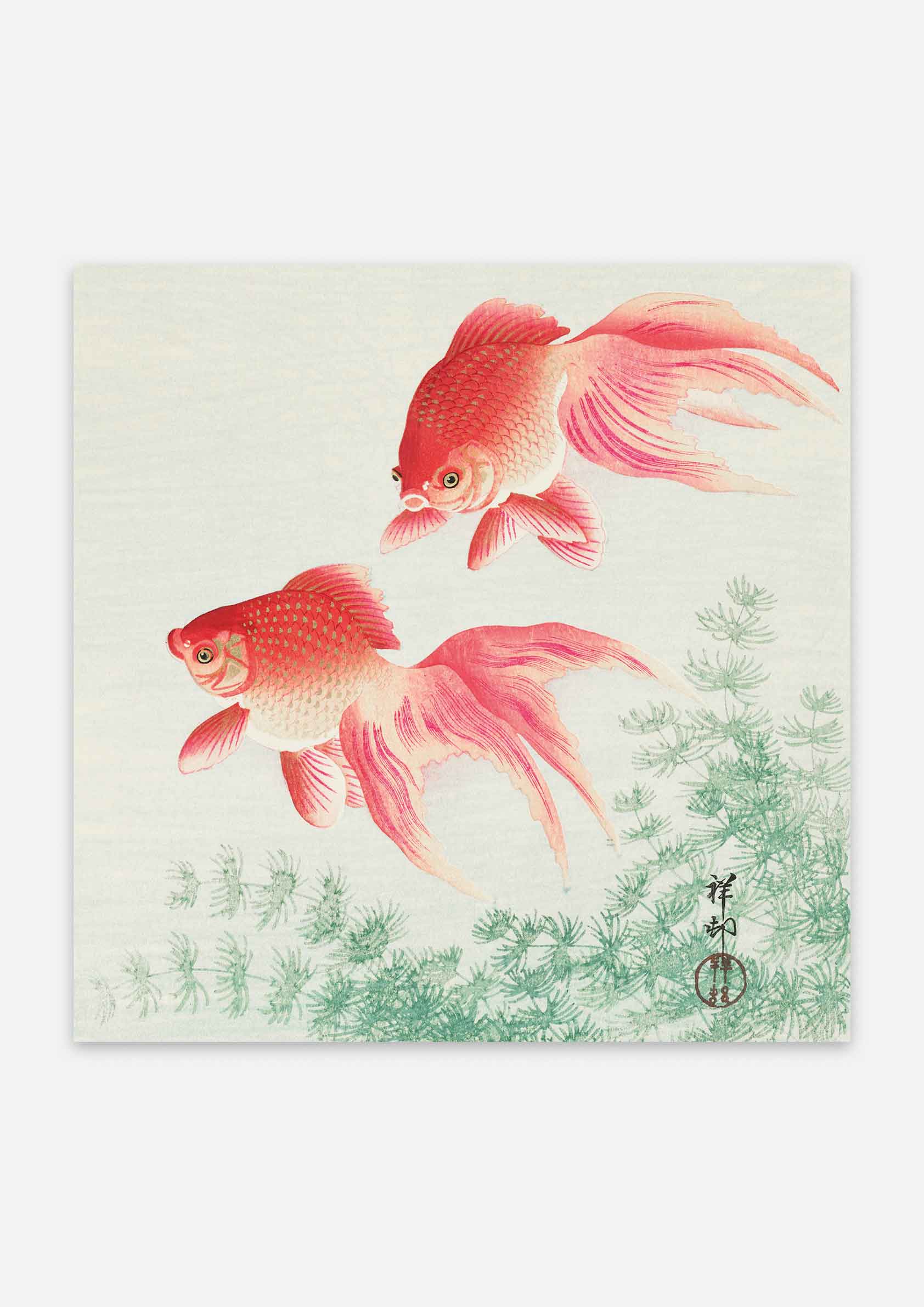 Ohara Koson - Two Veil Goldfish