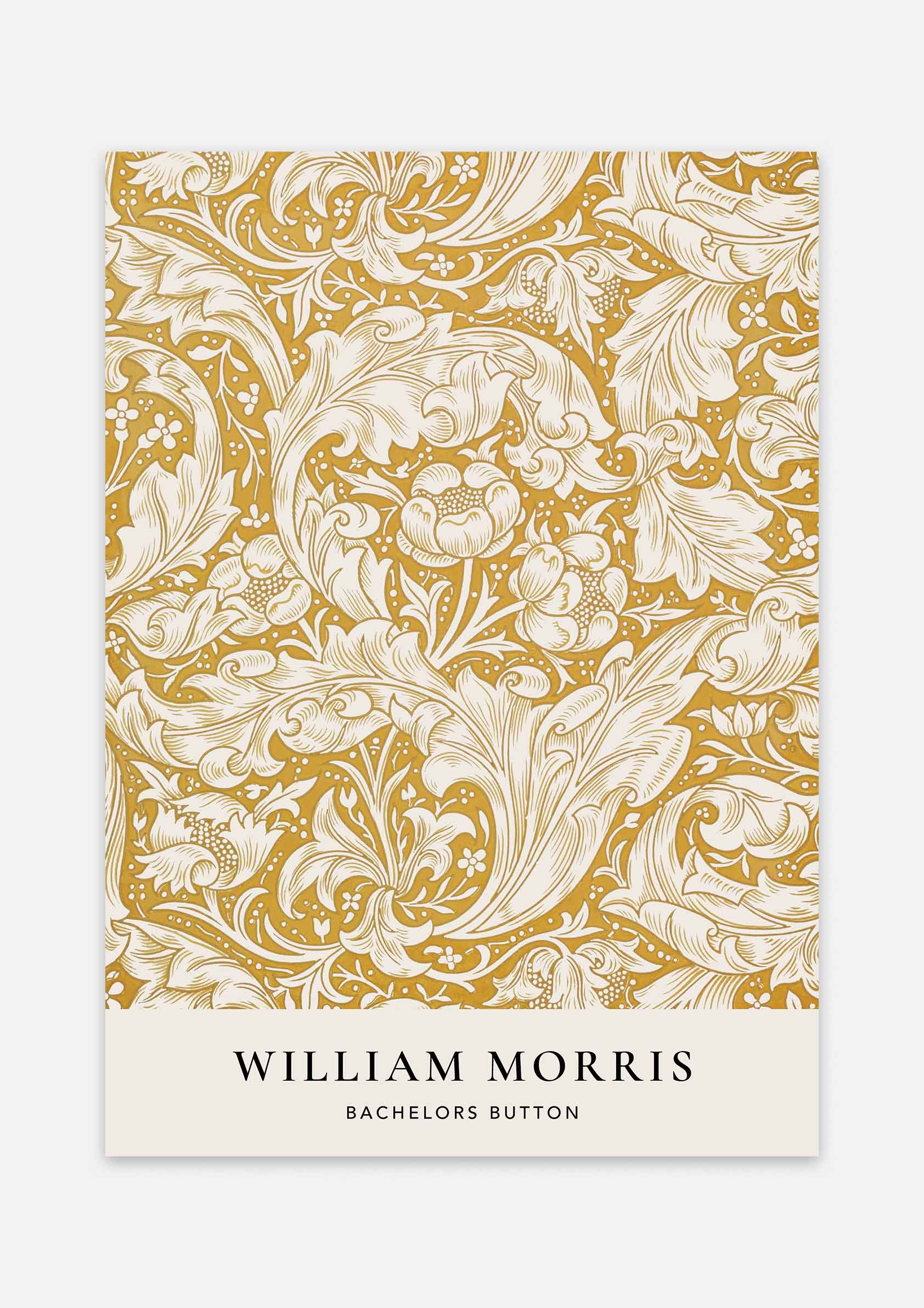 William Morris - Bachelors Button