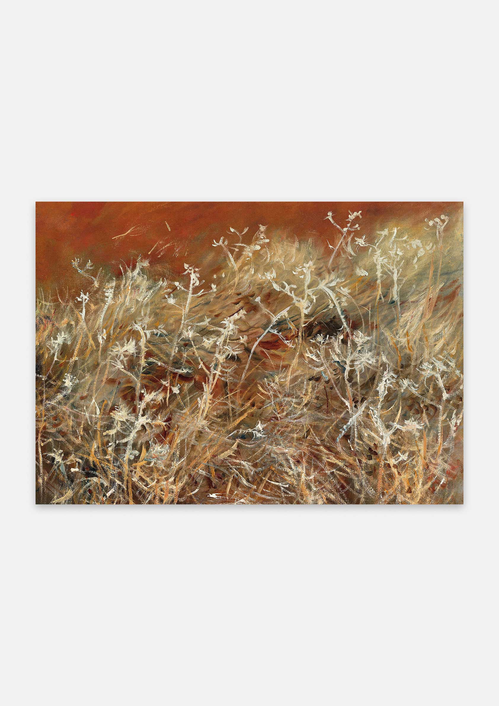 John Singer Sargent - Thistles