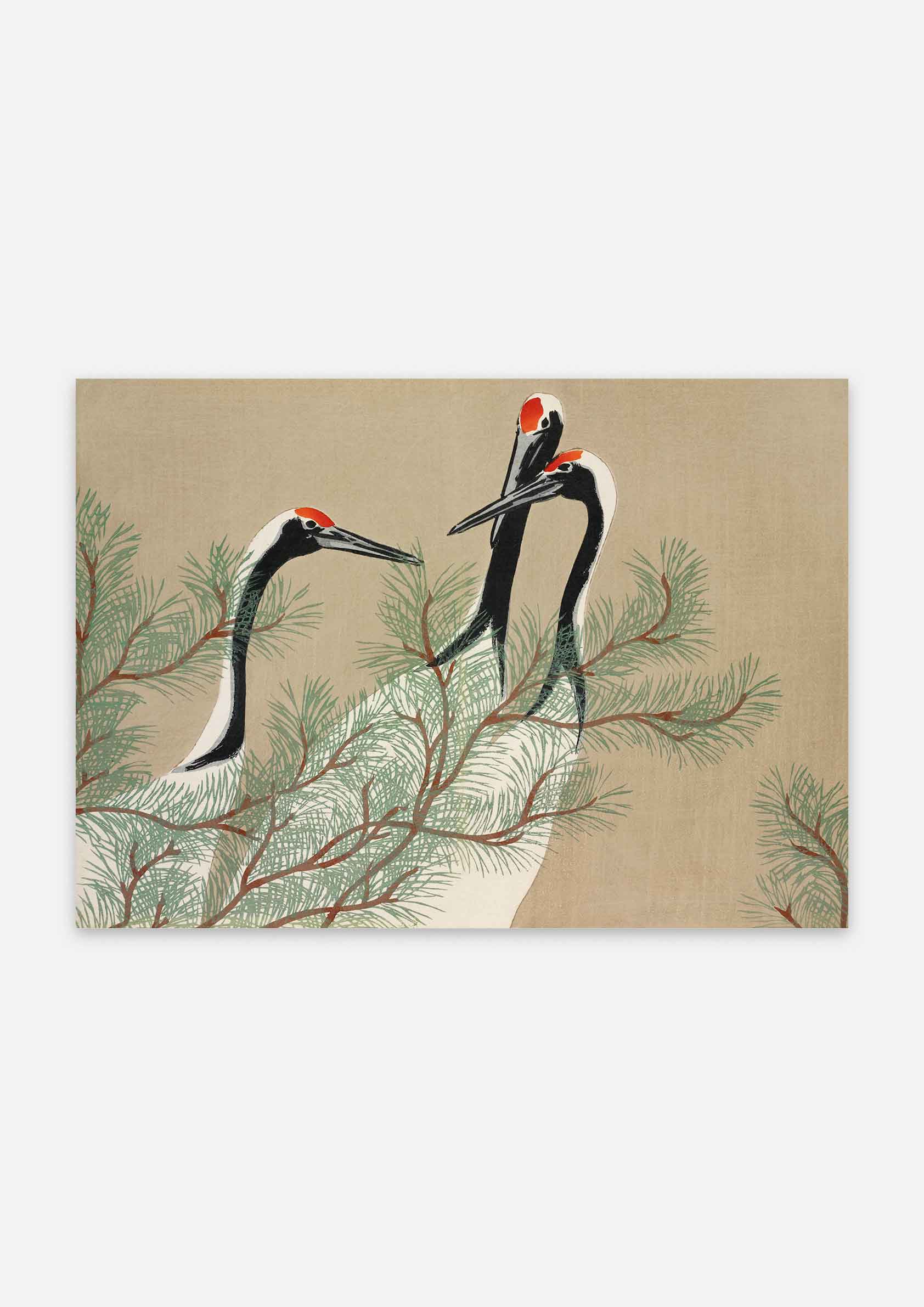 Kamisaka Sekka - Cranes from Momoyogusa