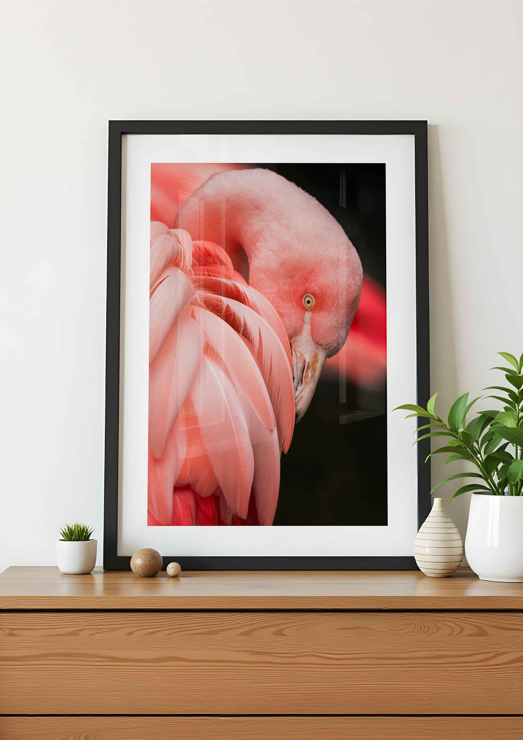 Flamingo Mood