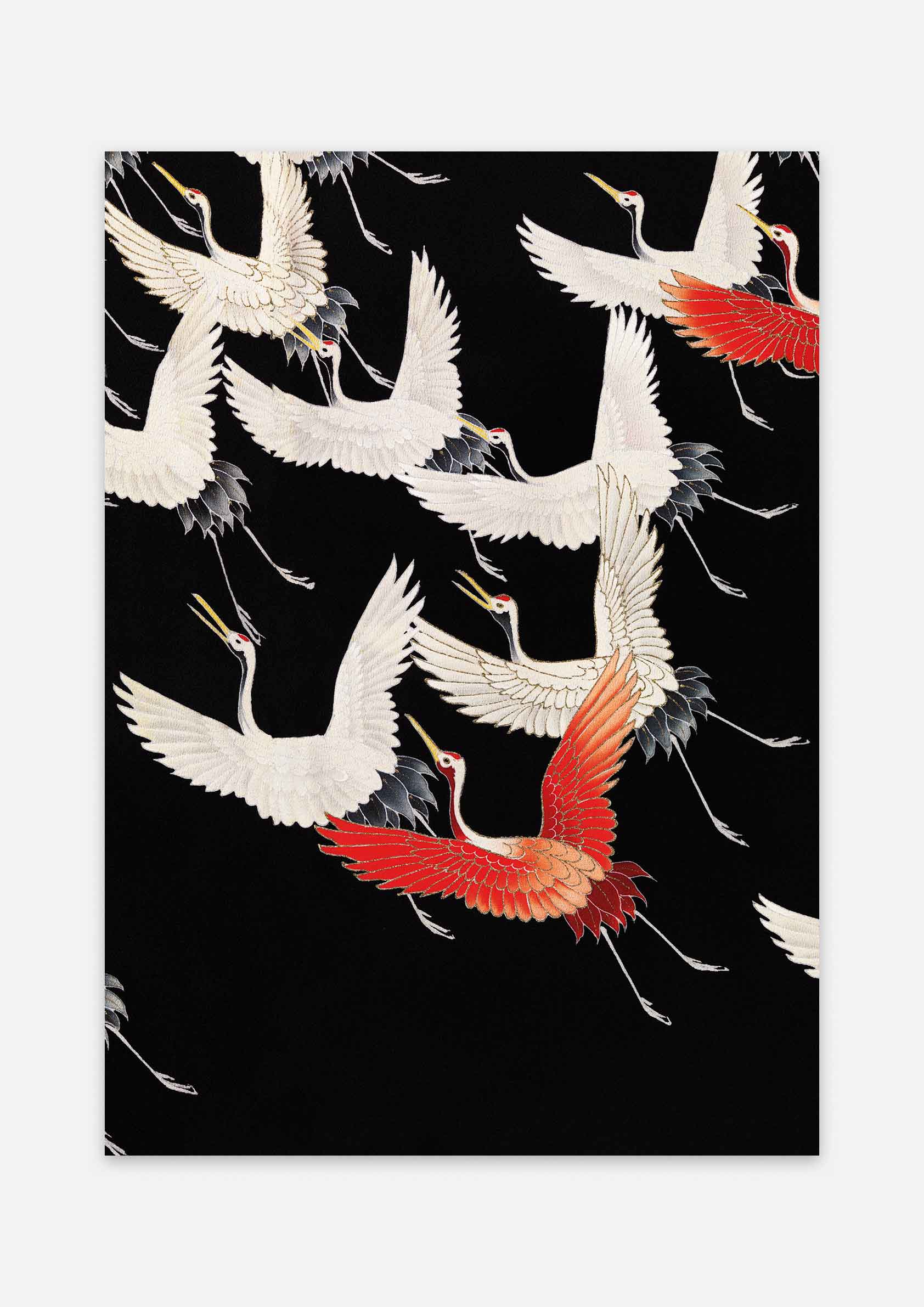 Myriad of Flying Cranes