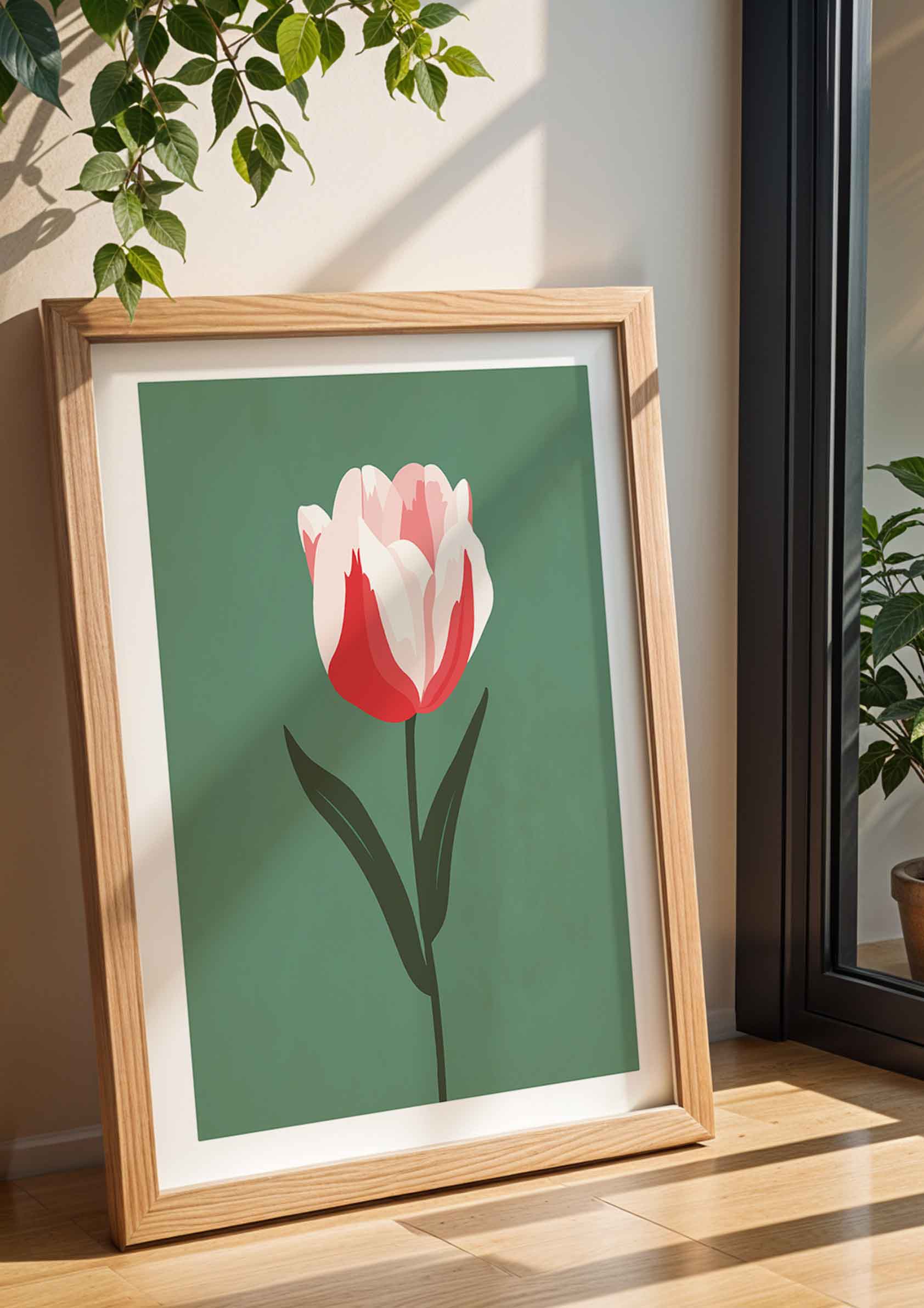 Tulipan