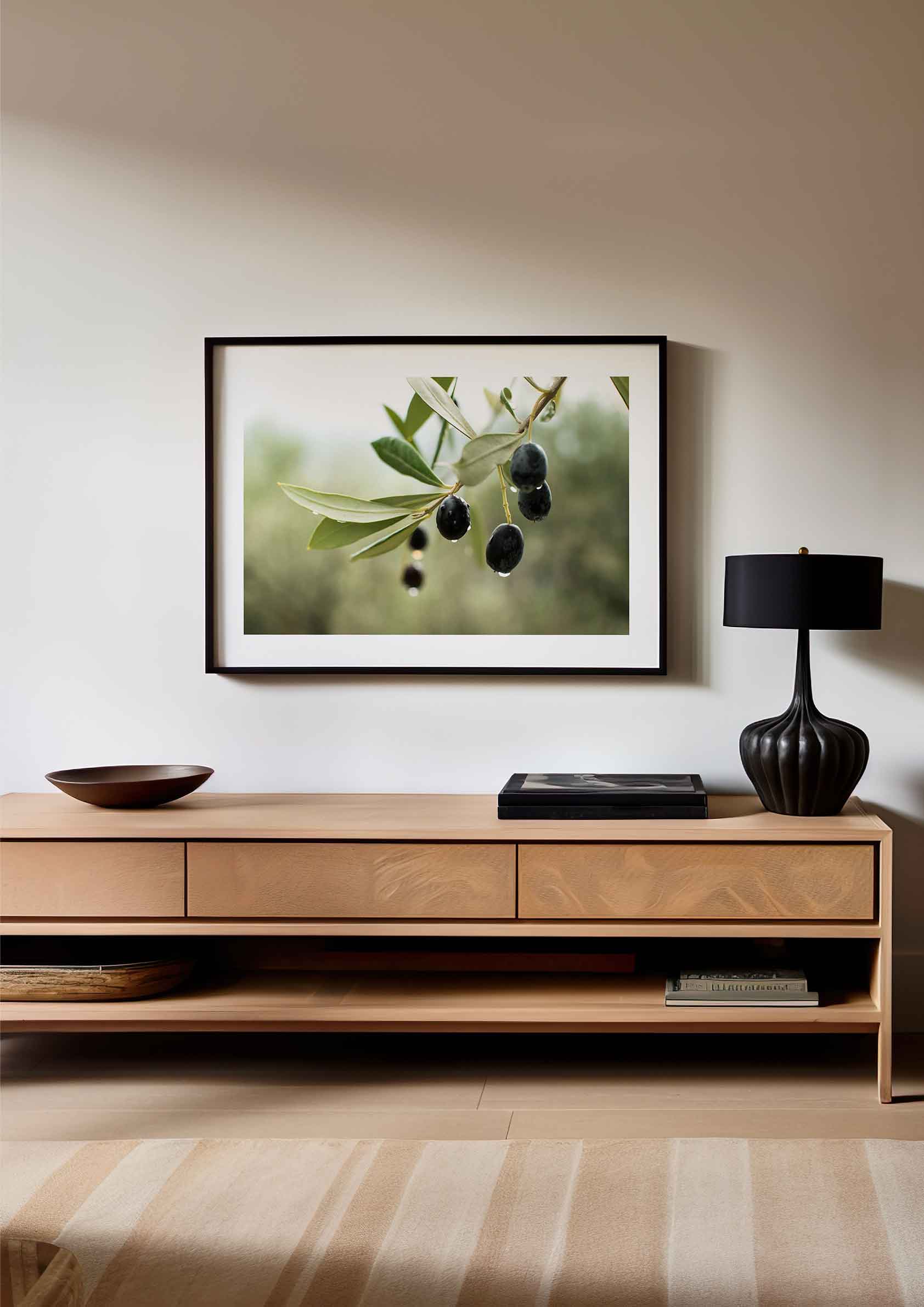 Olive Grove