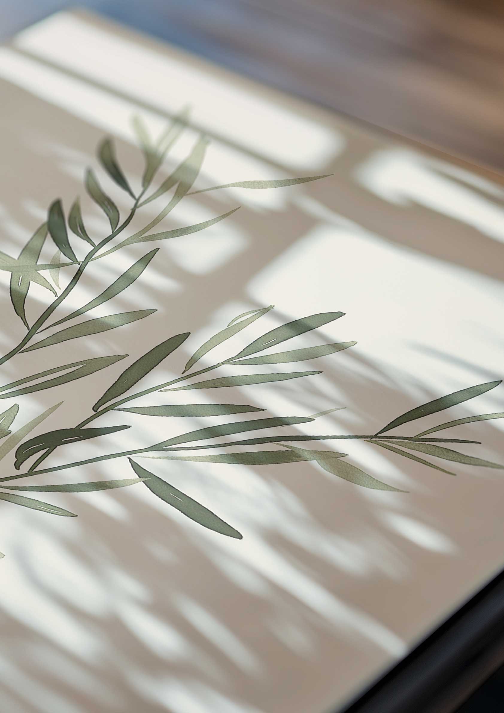 Olive Branch