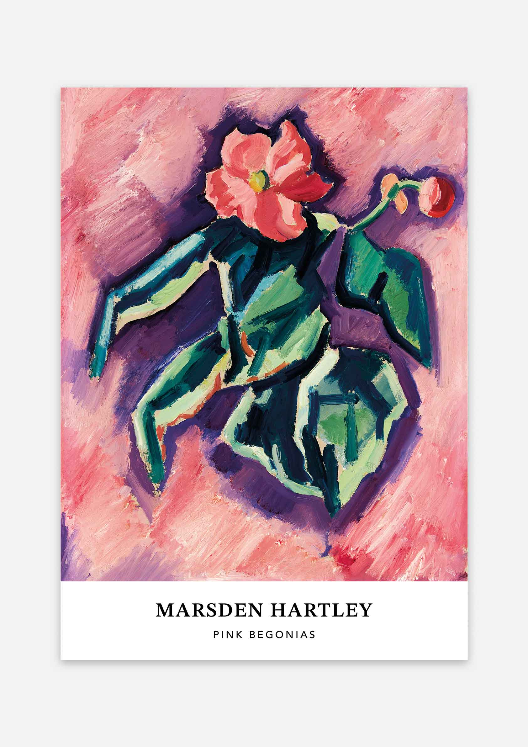 Marsden Hartley - Pink Begonias