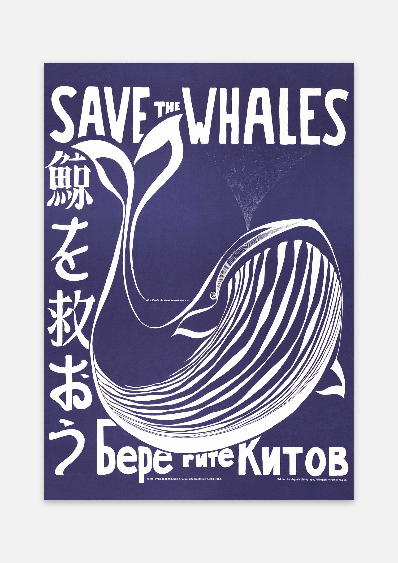 Save the Whales