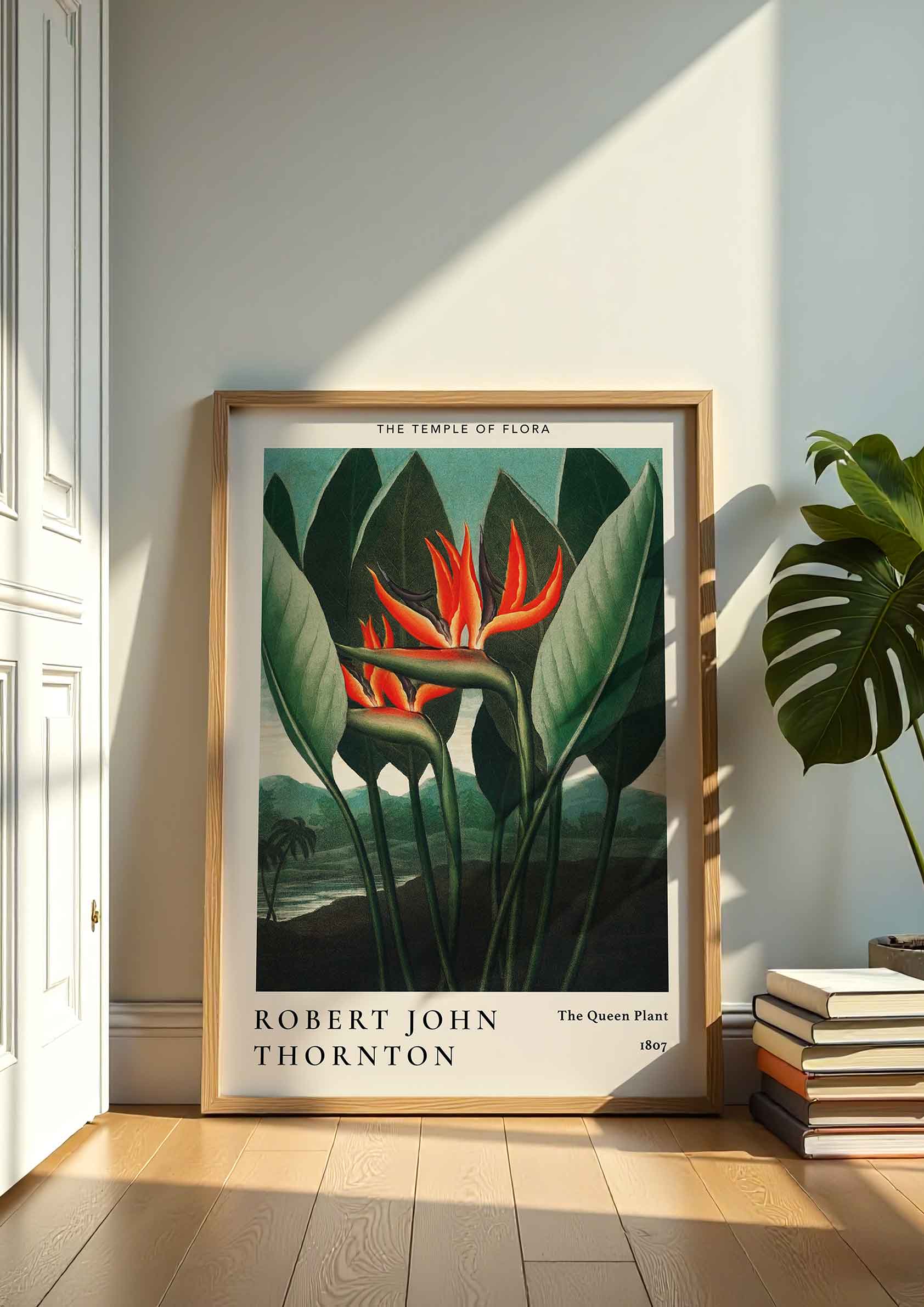Robert John Thornton - The Queen Plant