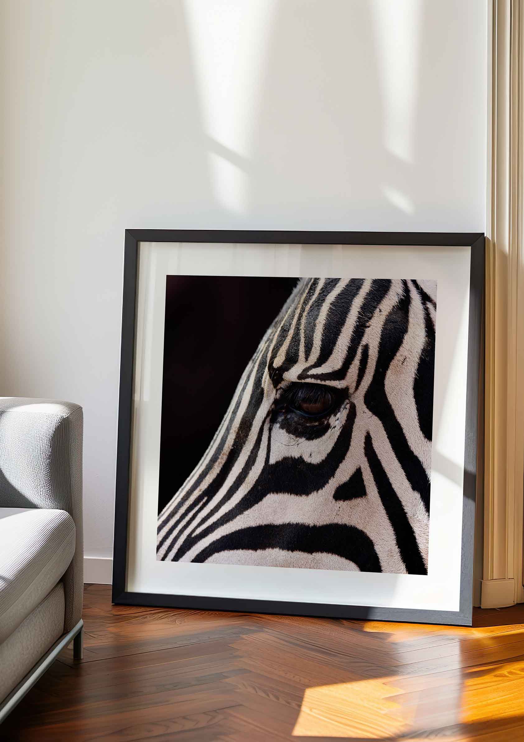 Zebra Eyes