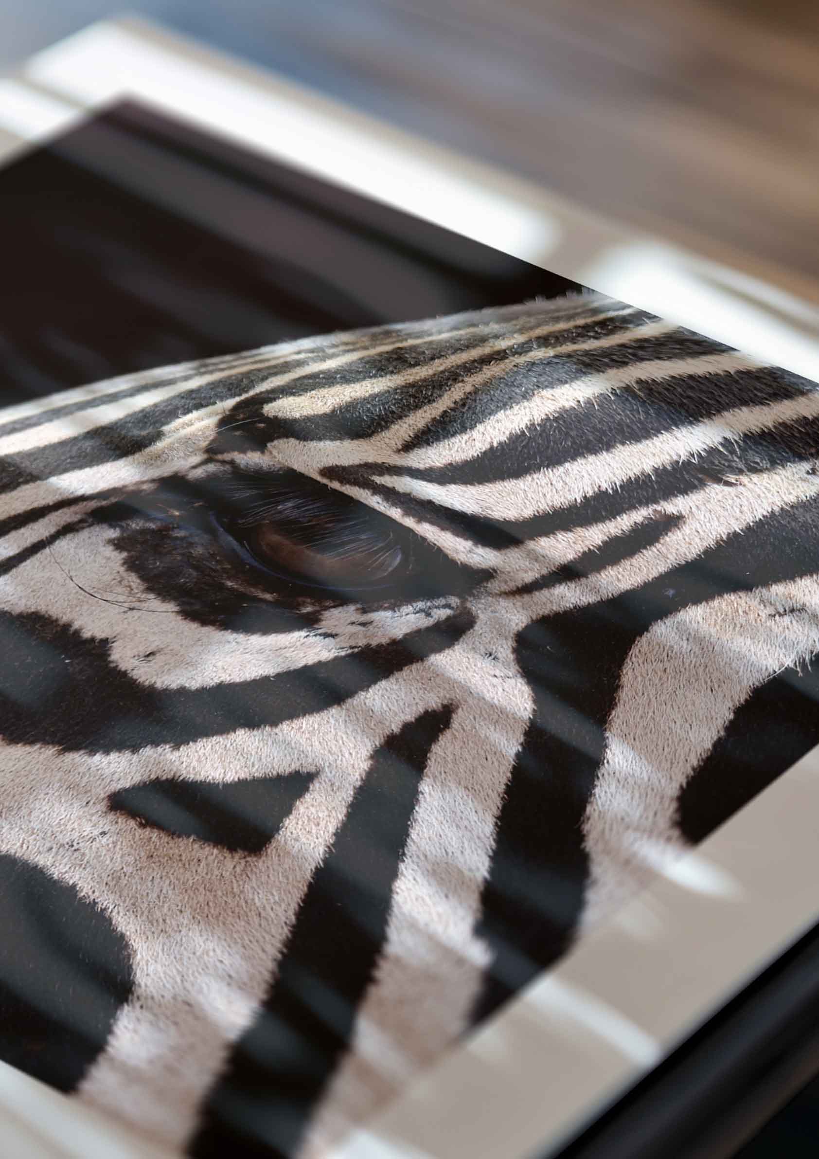 Zebra Eyes